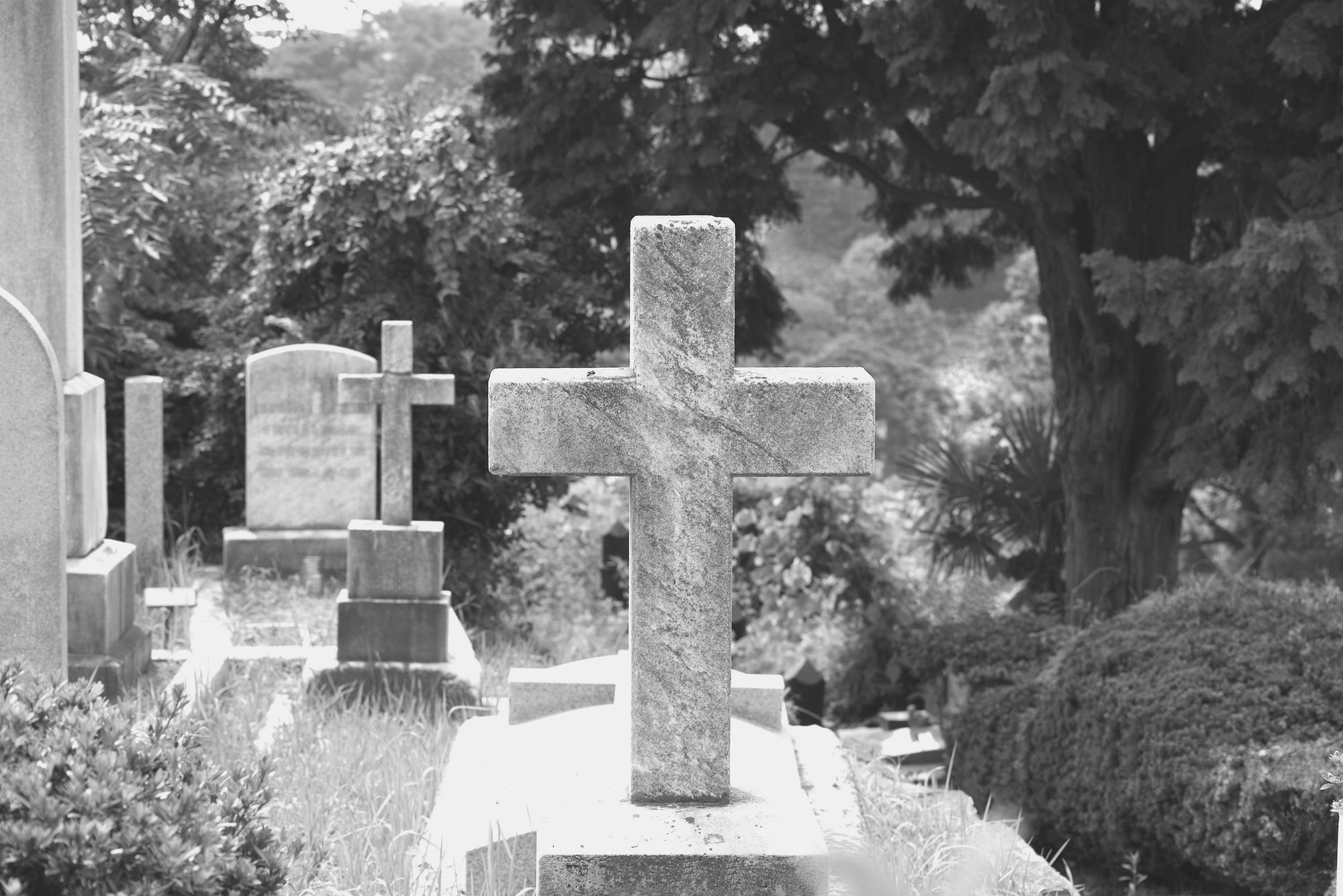 Bundestags-Abgeordnete stirbt nach schwerer Krankheit