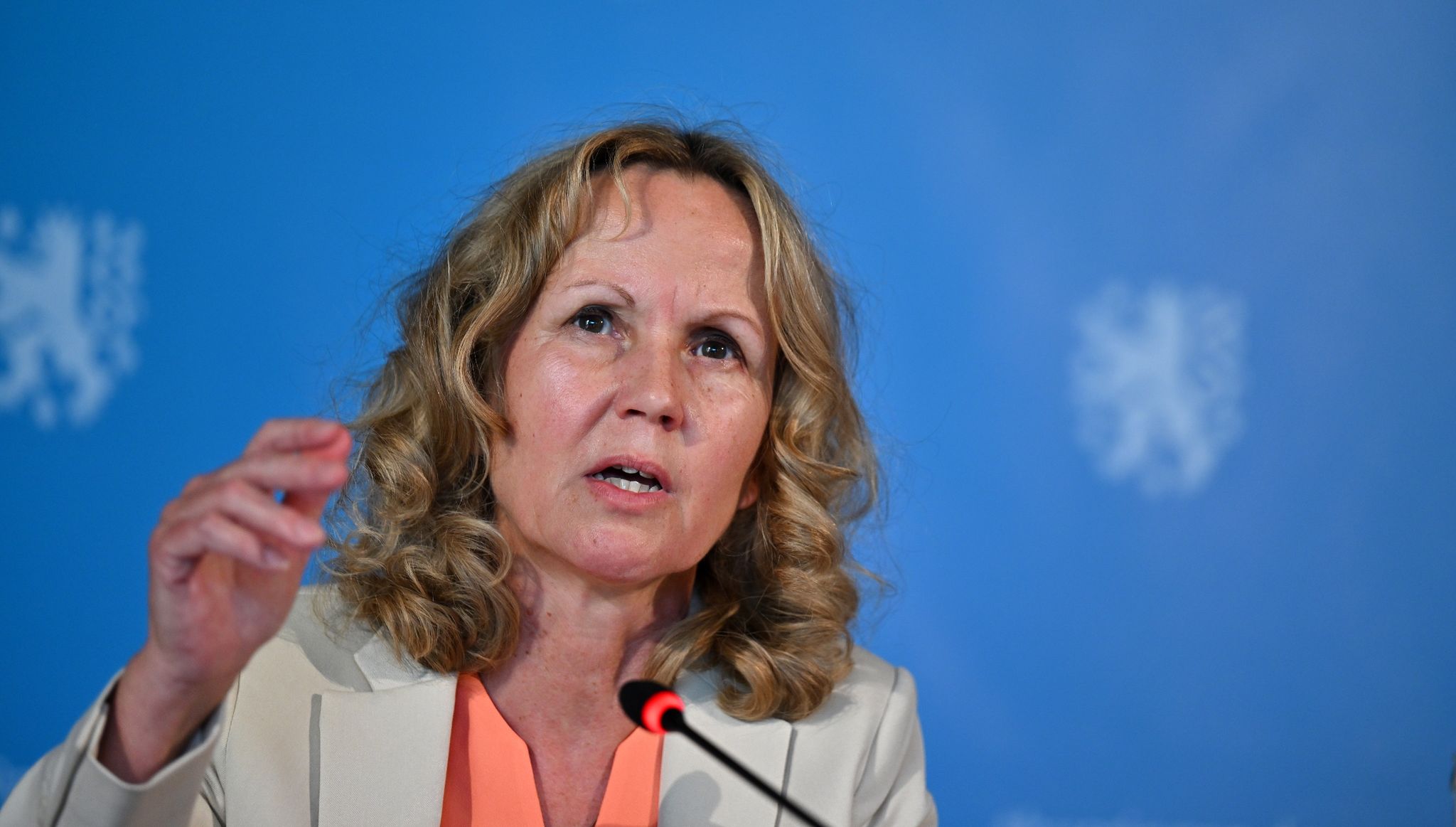 Lemke: Privathaushalte müssen mit Gas versorgt bleiben