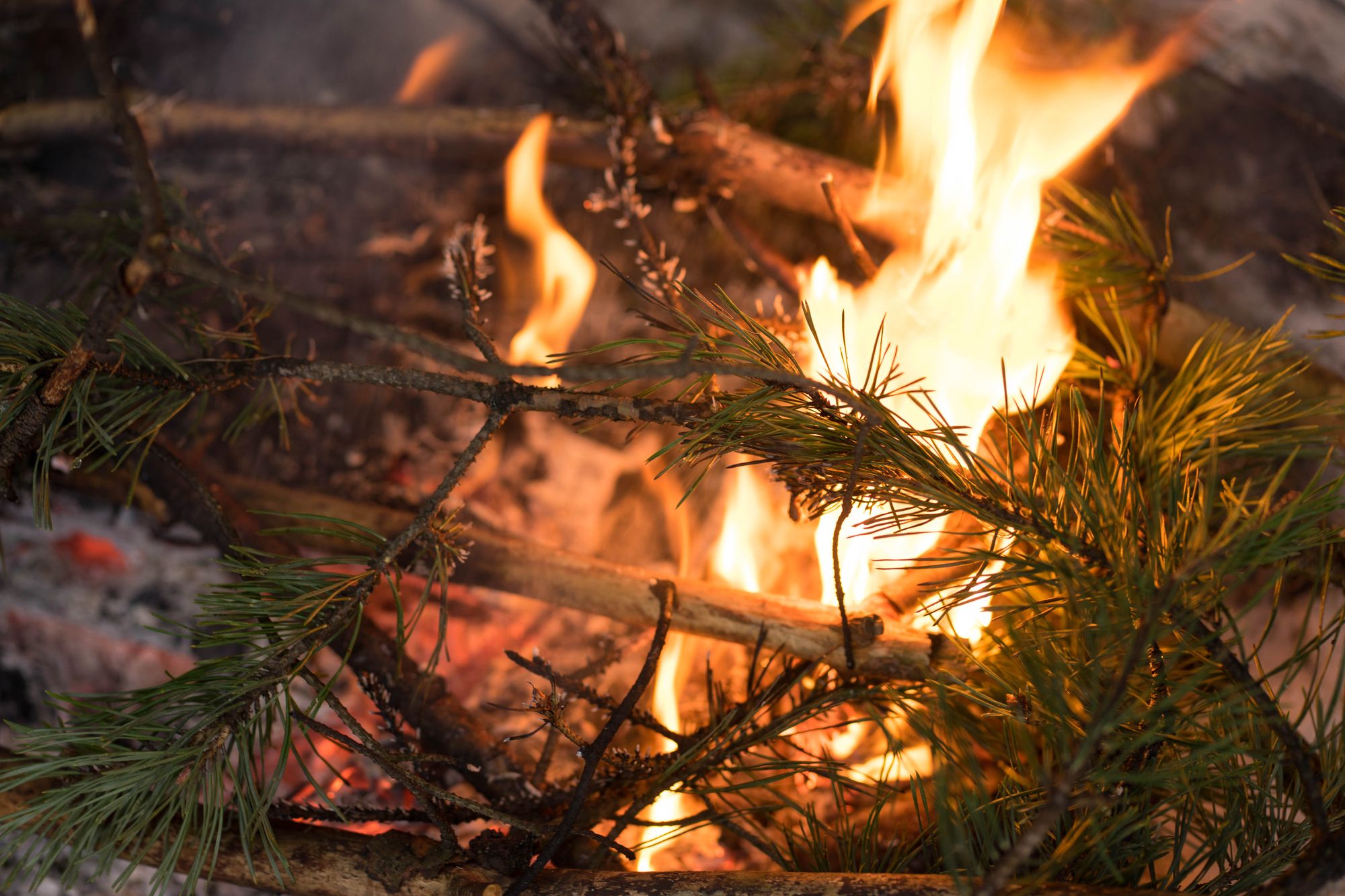 Christbaumbrand in München- Mann stirbt elf Wochen nach Weihnachten