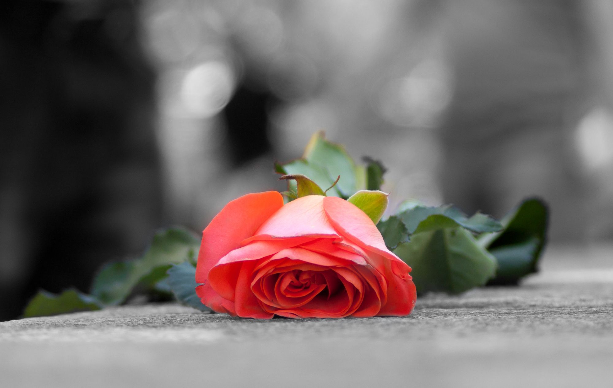 Comedy-Star unerwartet gestorben