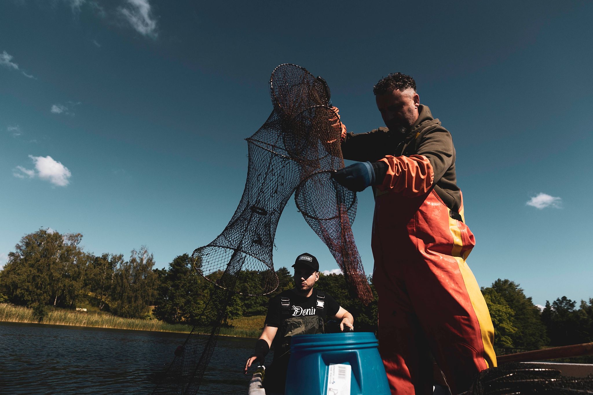 Berlin bekämpft exotische Sumpfkrebse