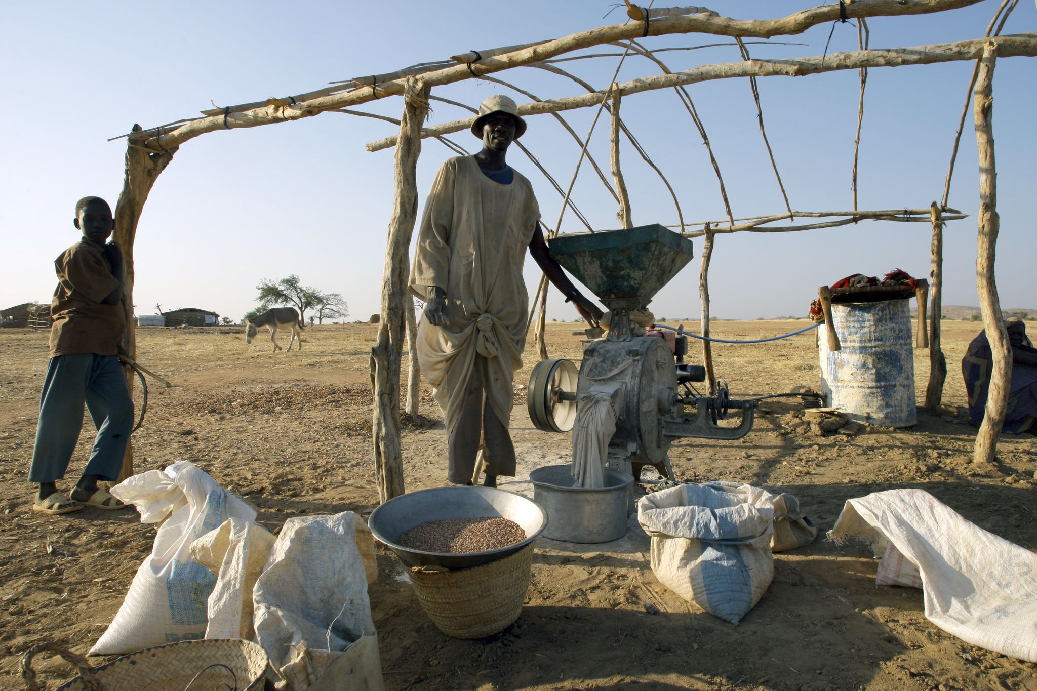 Afrikanische Union: Putin bereit zum Getreide-Export