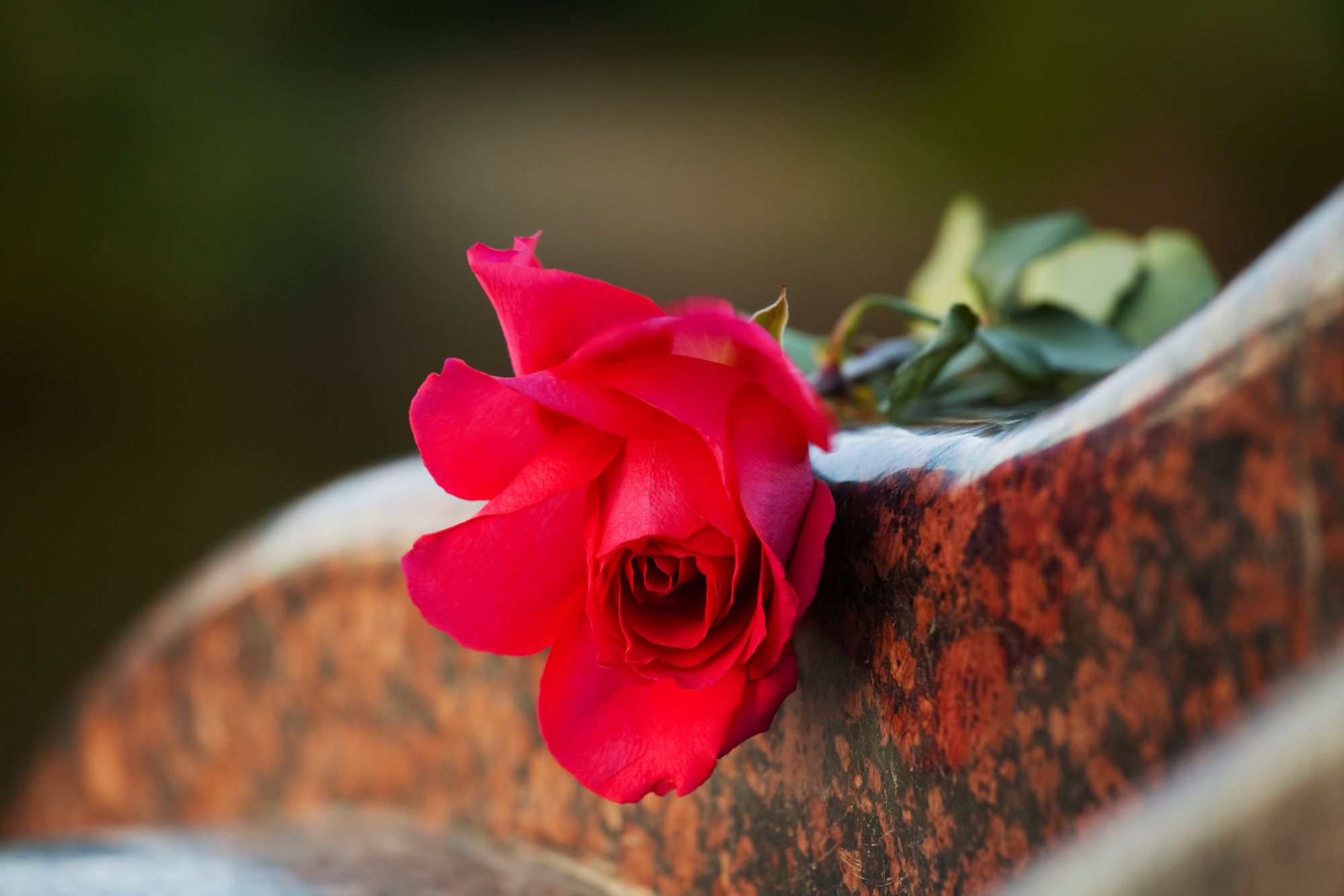 Deutscher Politiker nach kurzer Krankheit gestorben