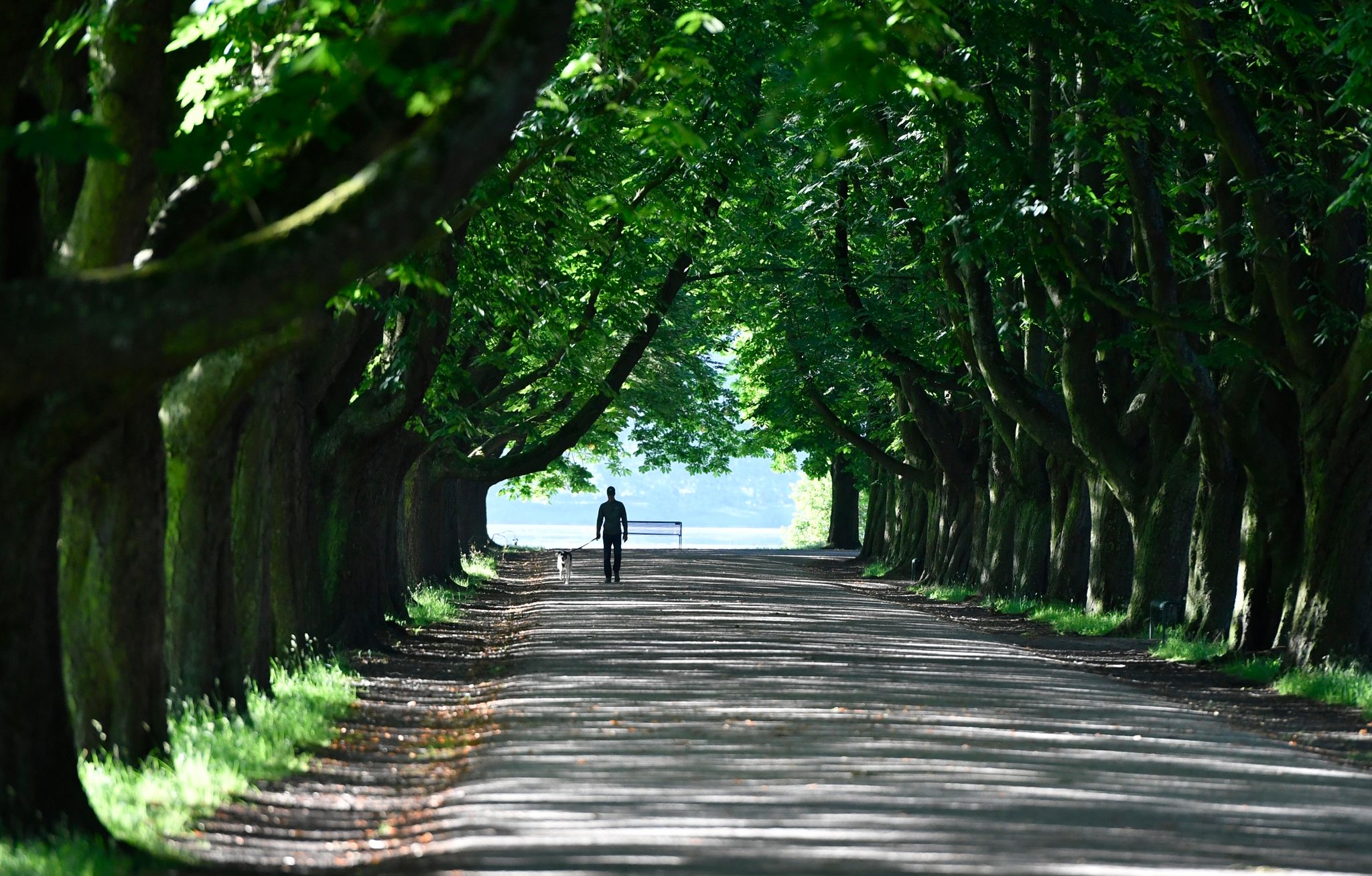 «Chance für einen Neubeginn» – Optimismus in Krisenzeiten