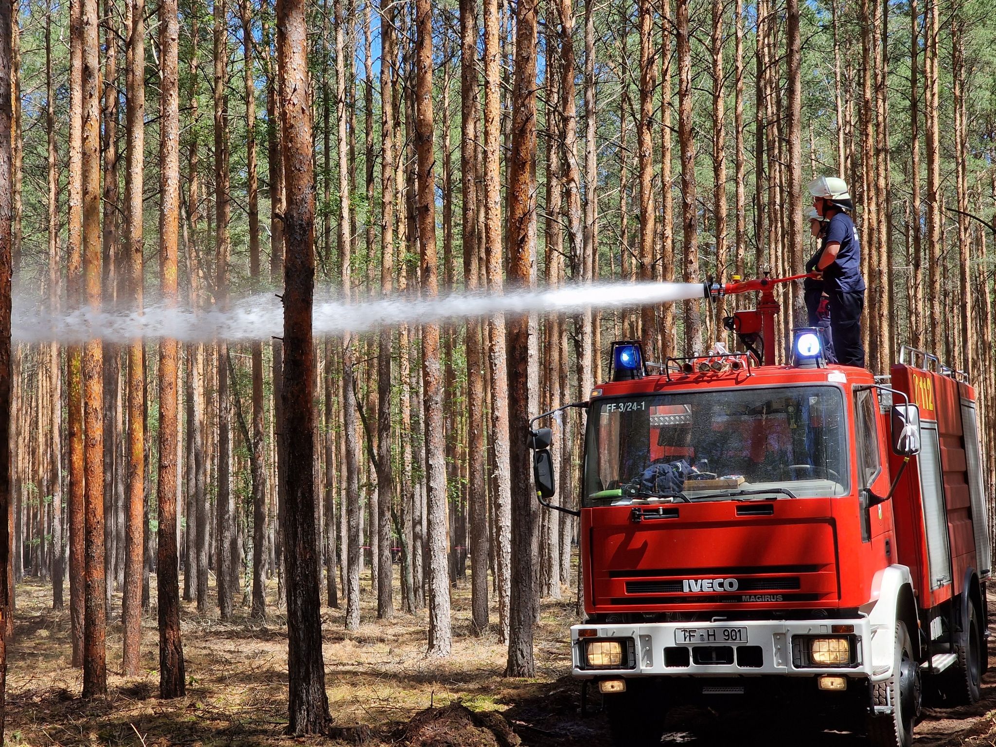 Erste Entwarnung bei Waldbrand