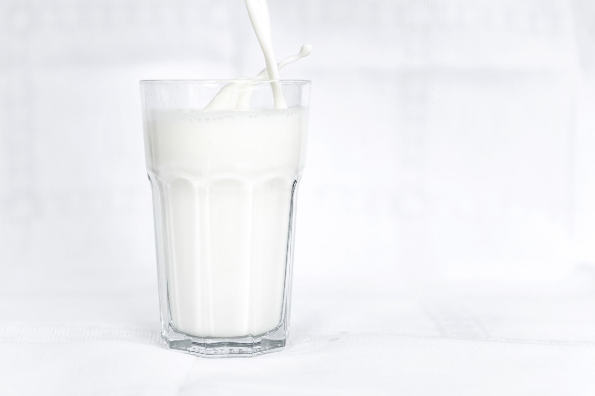 Milchwirtschaft erwartet deutlich steigende Preise