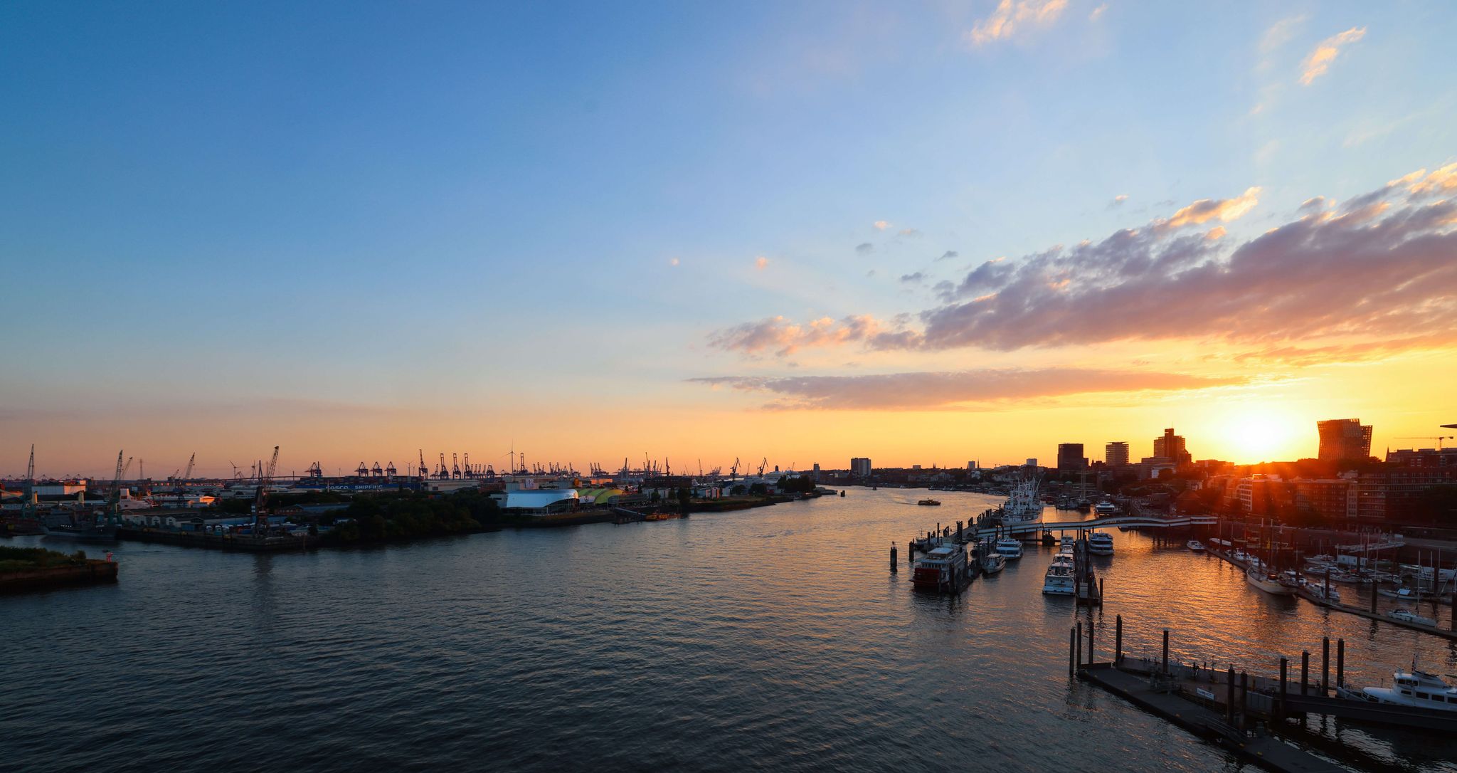Zu wenig Sauerstoff in Elbe – Warnung vor Fischsterben