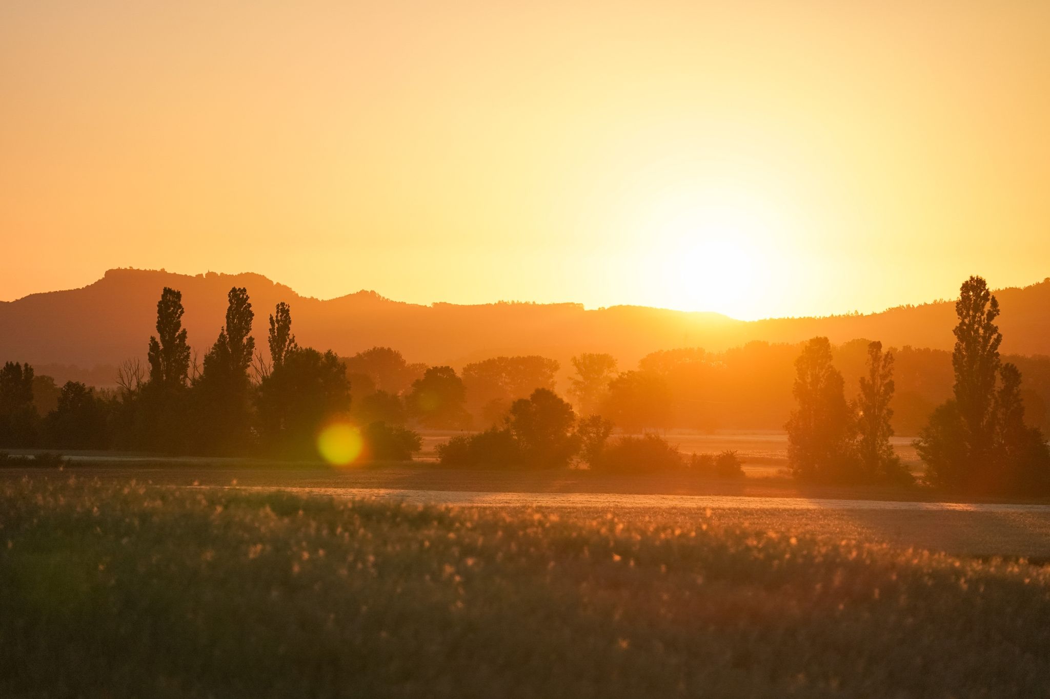 Mehr als 17 Stunden Sonne möglich: längster Tag des Jahres