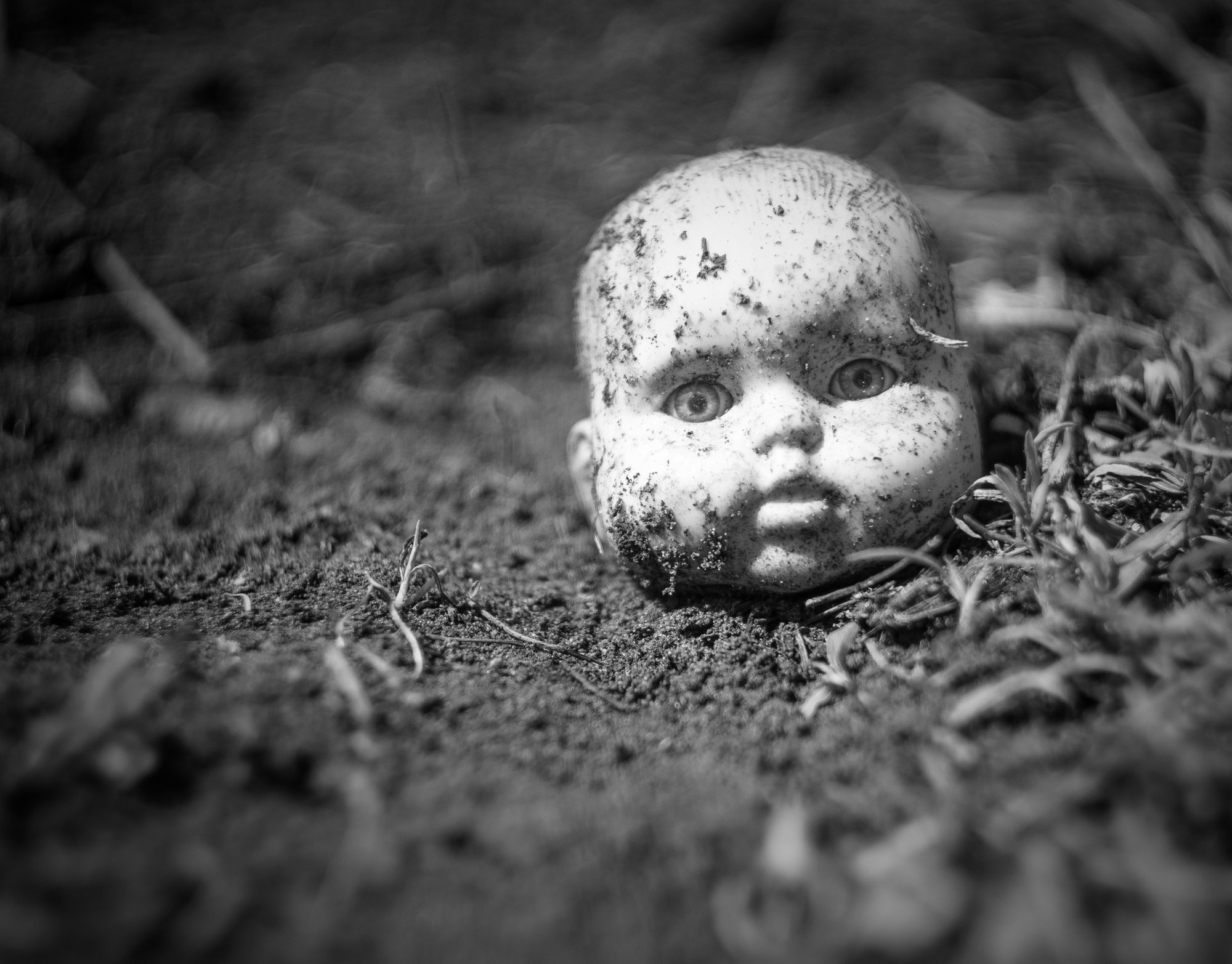 Dresden: Totes Baby in Wald gefunden