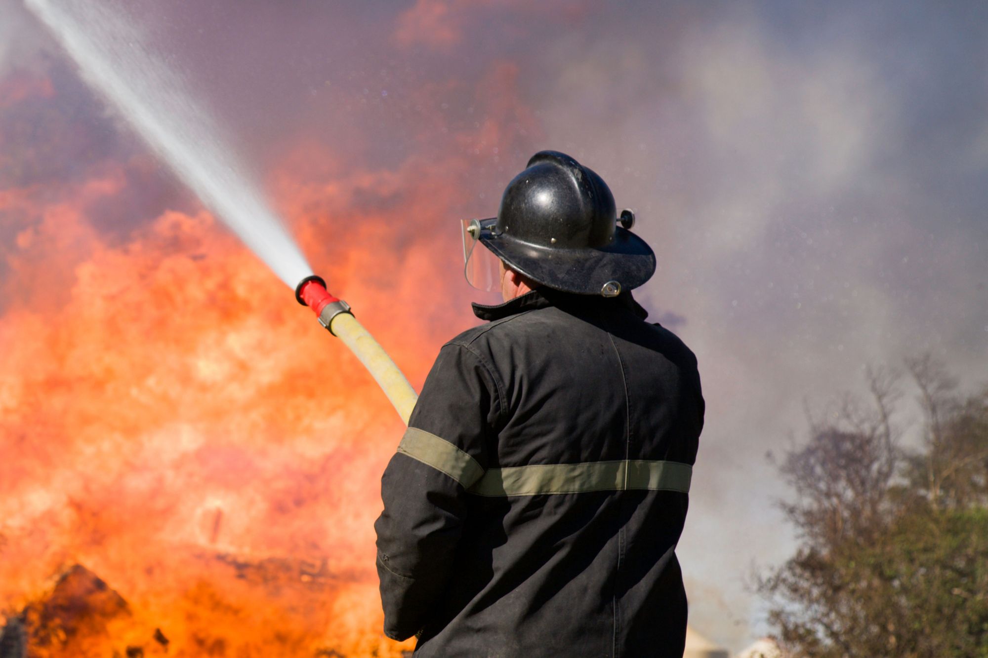 Dresden: Viele Verletzte bei Plattenbau-Brand