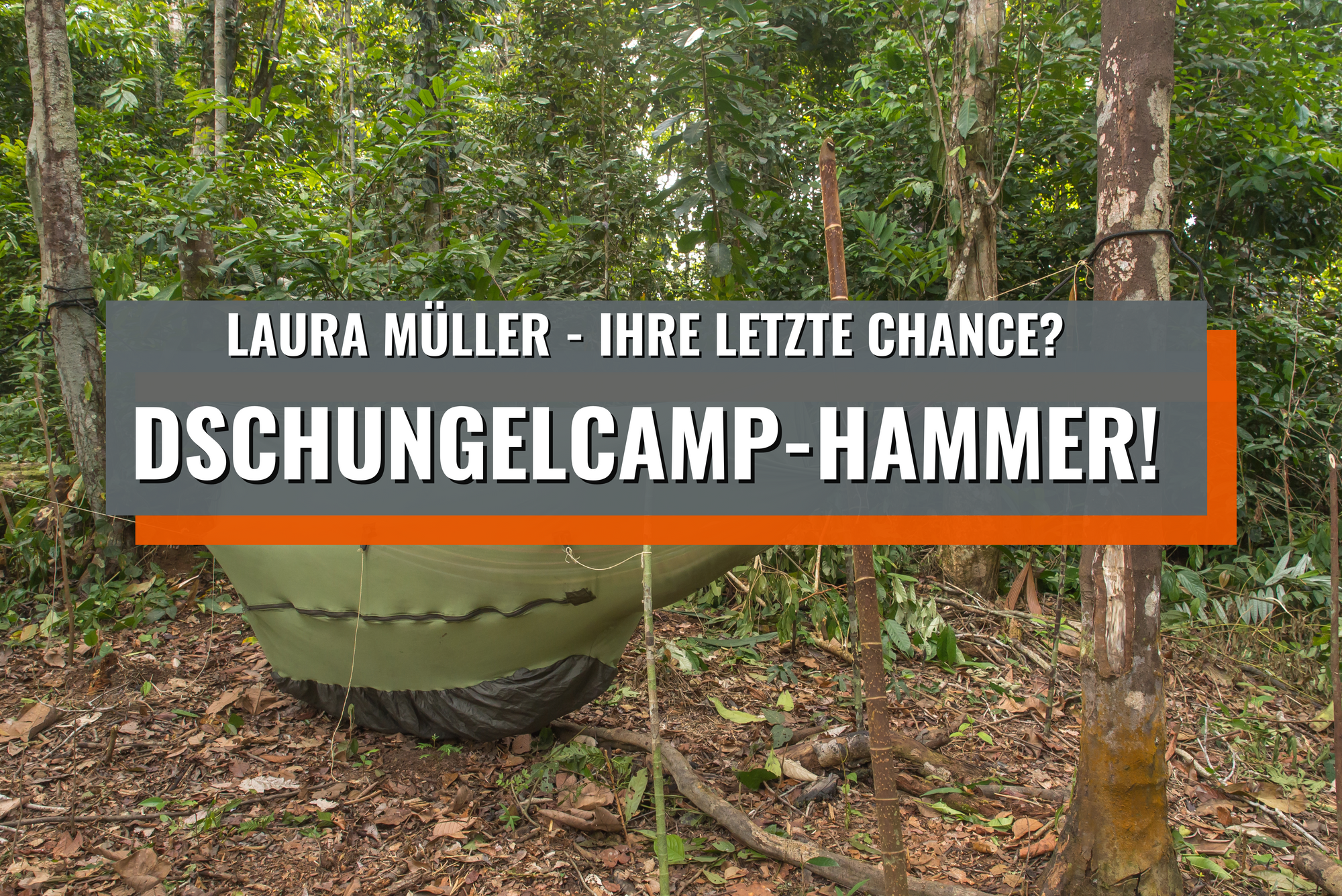 Dschungel-Camp Hammer: Laura Müller sagt nun doch zu – ihre letzte Chance?