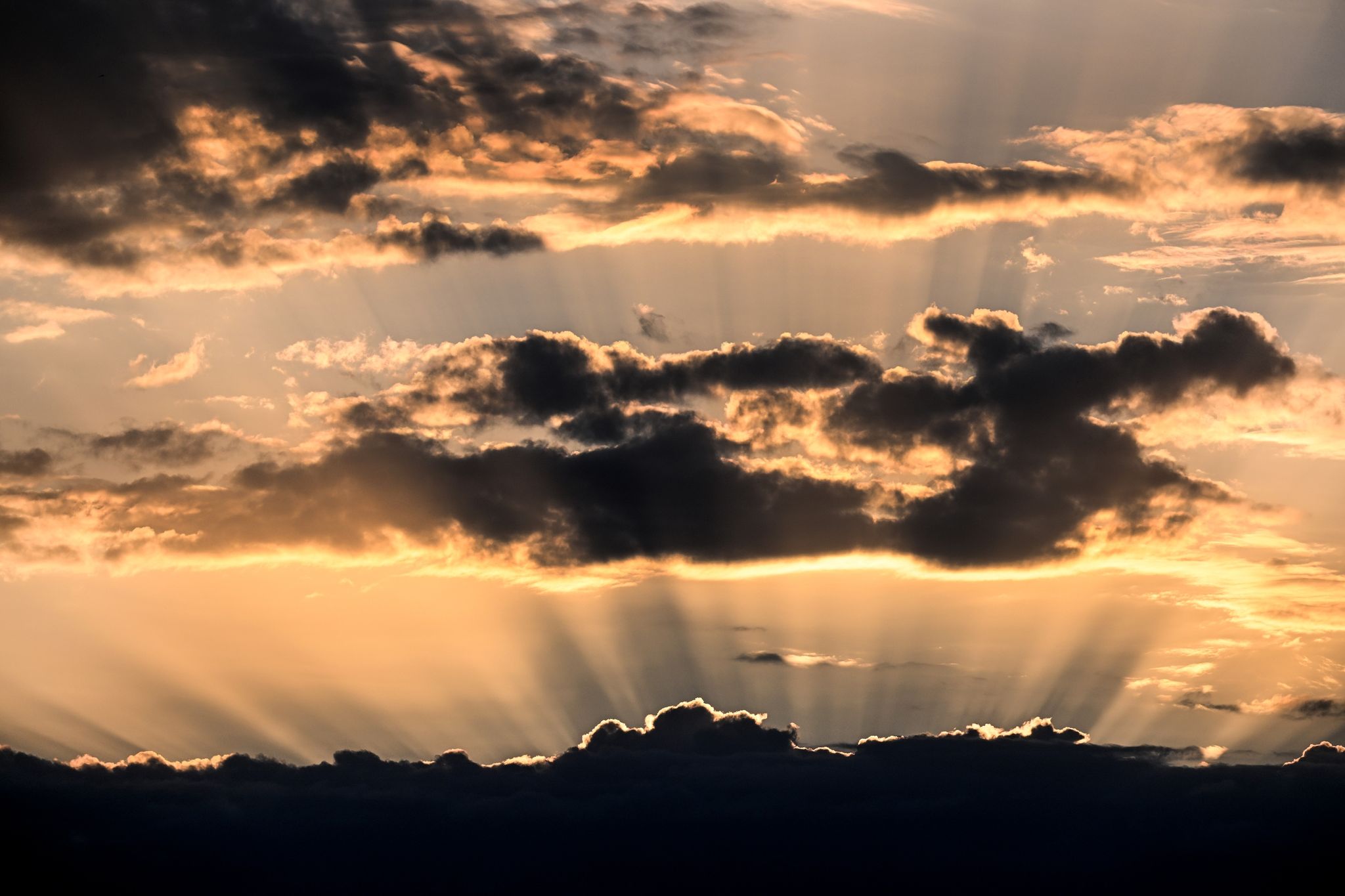 DWD-Bilanz: Juni zu trocken und warm