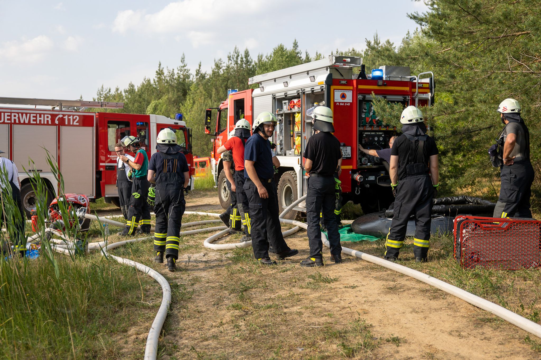 Erneut Waldbrand im Kreis Offenbach – Brandstiftung vermutet