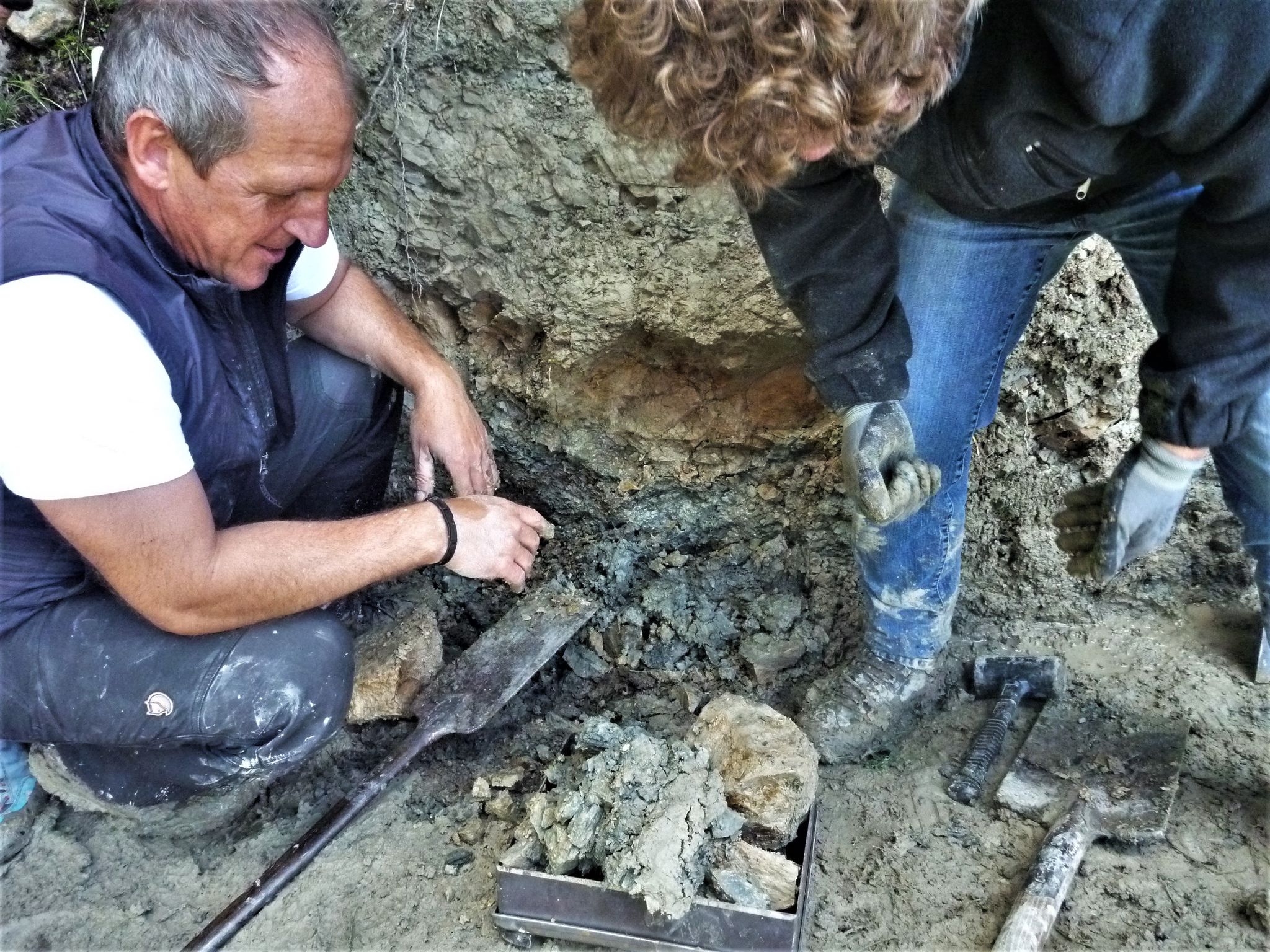 Fund in Bayern bringt Erkenntnisse zum Aussterben der Dinos