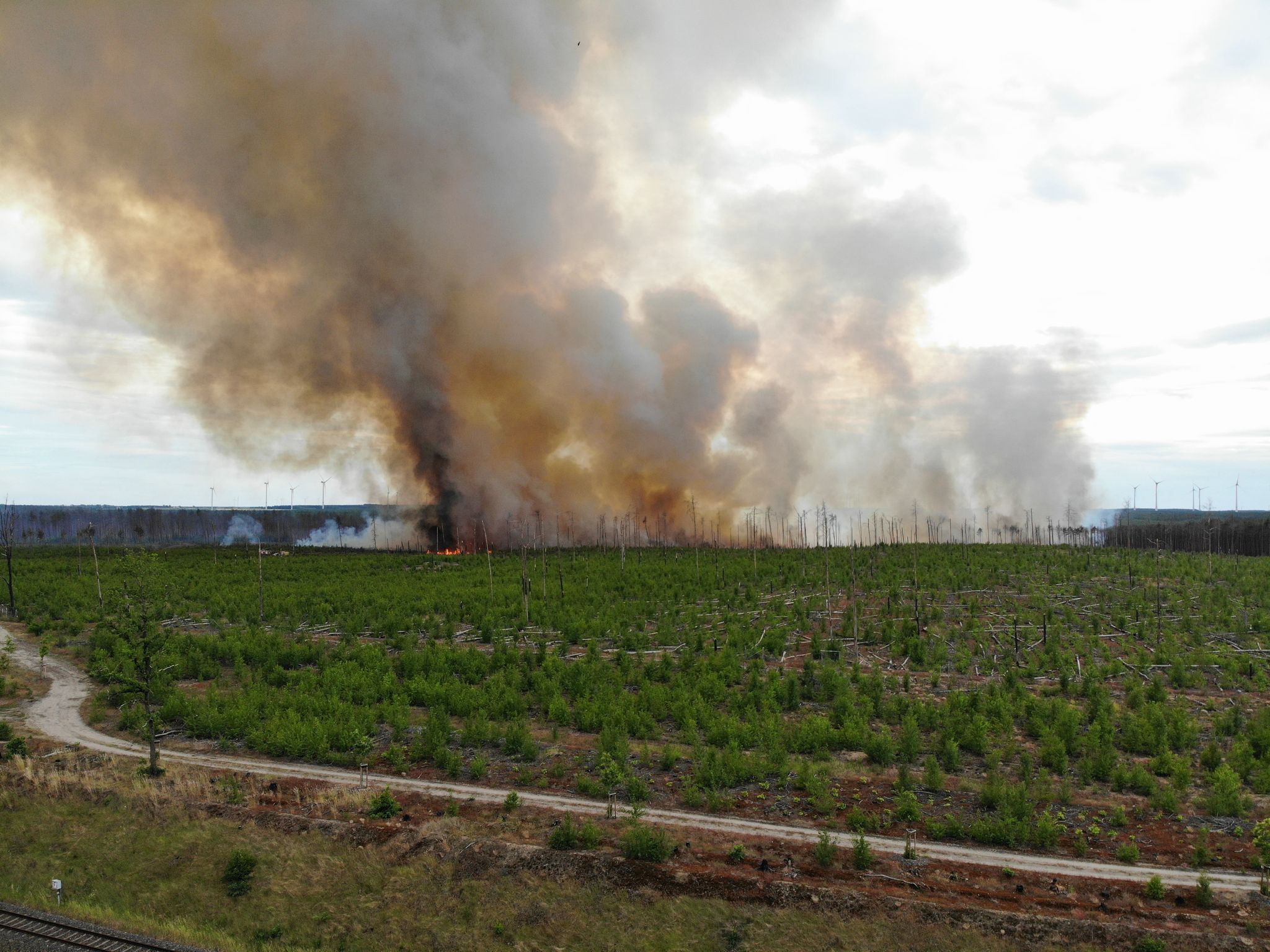 Waldbrände in Brandenburg: Hunderte in Sicherheit gebracht