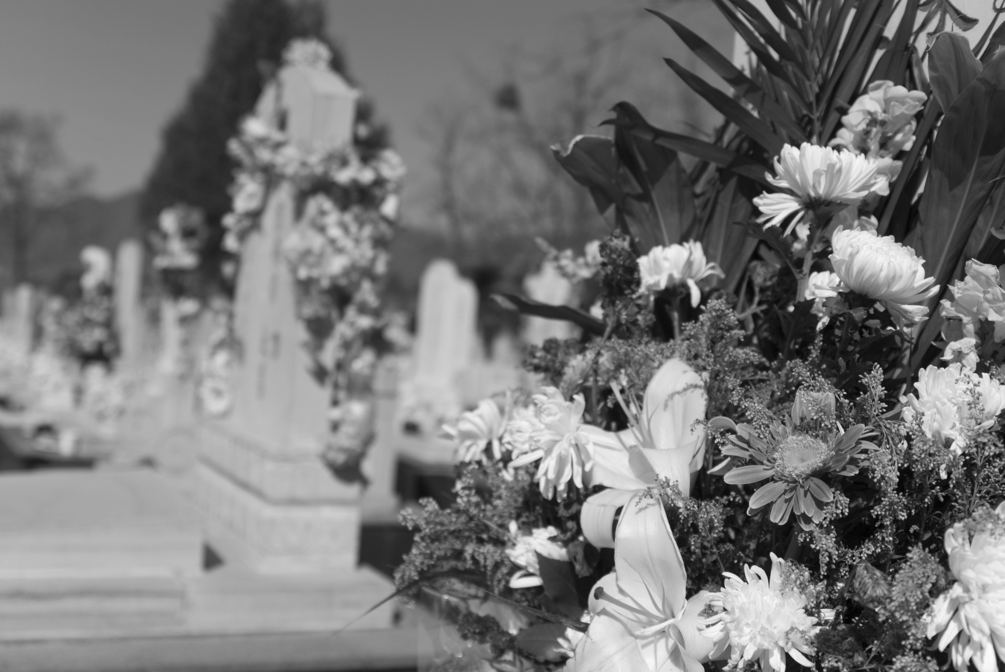 Fußball-Star stirbt bei Unfall