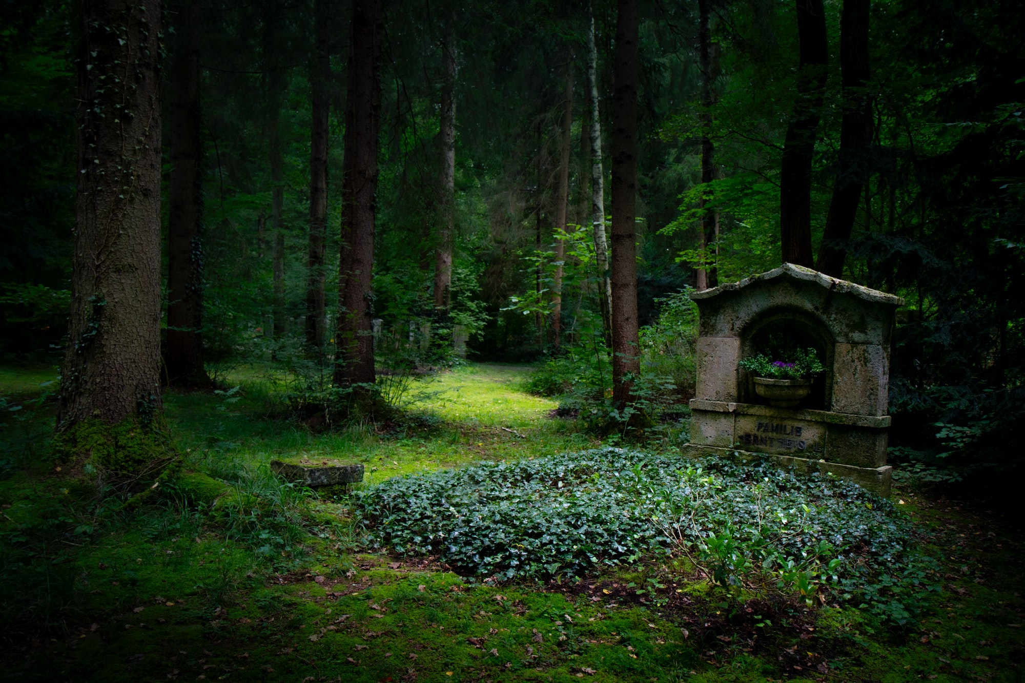 Große Trauer! Soap-Star stirbt nach kurzer Krankheit