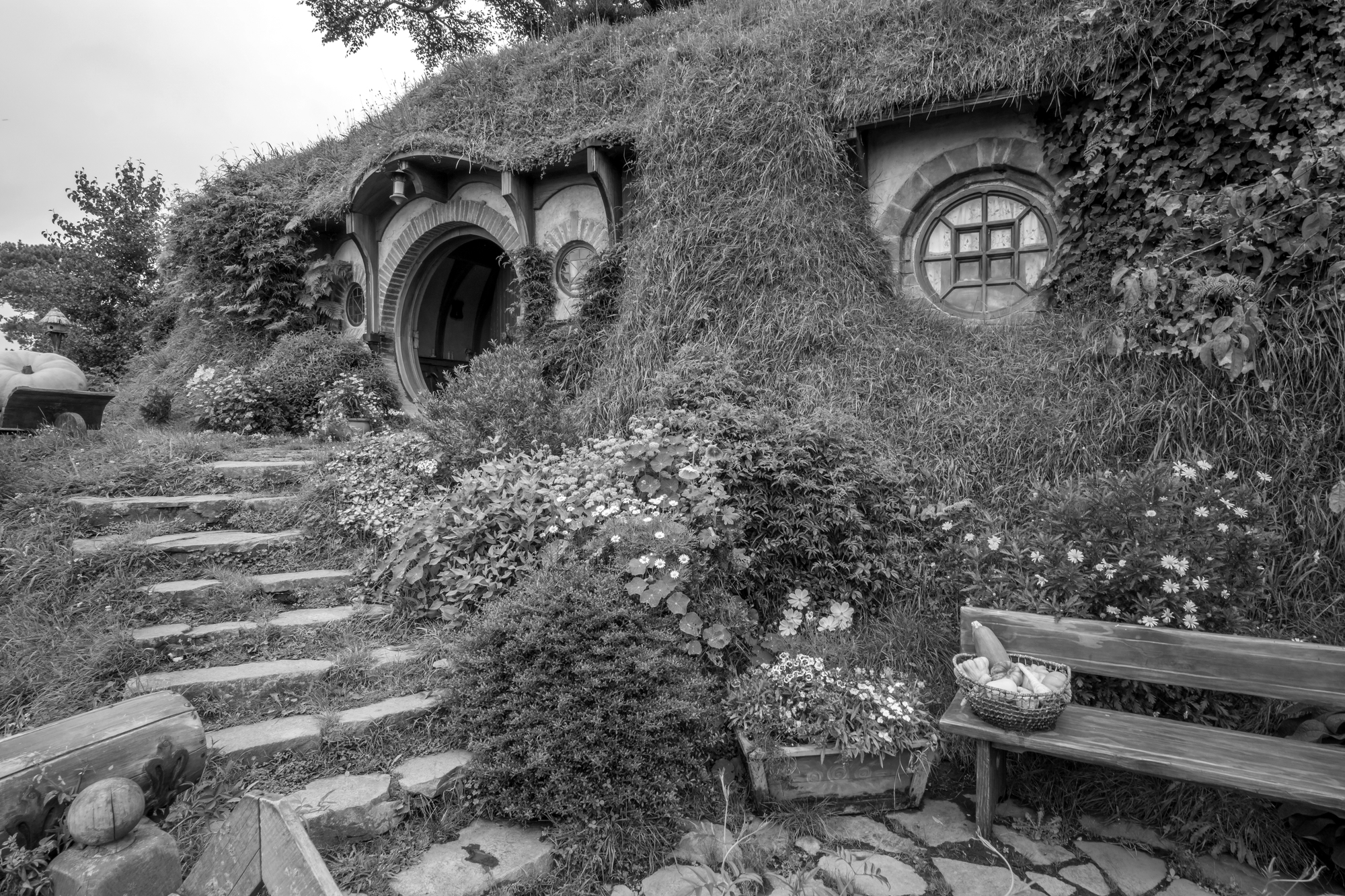 „Herr der Ringe“-Star gestorben – Nierenversagen!