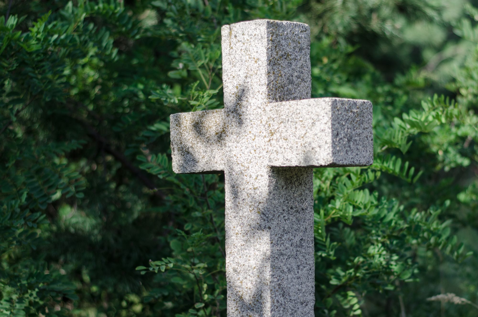 Hollywood-Schauspieler tot