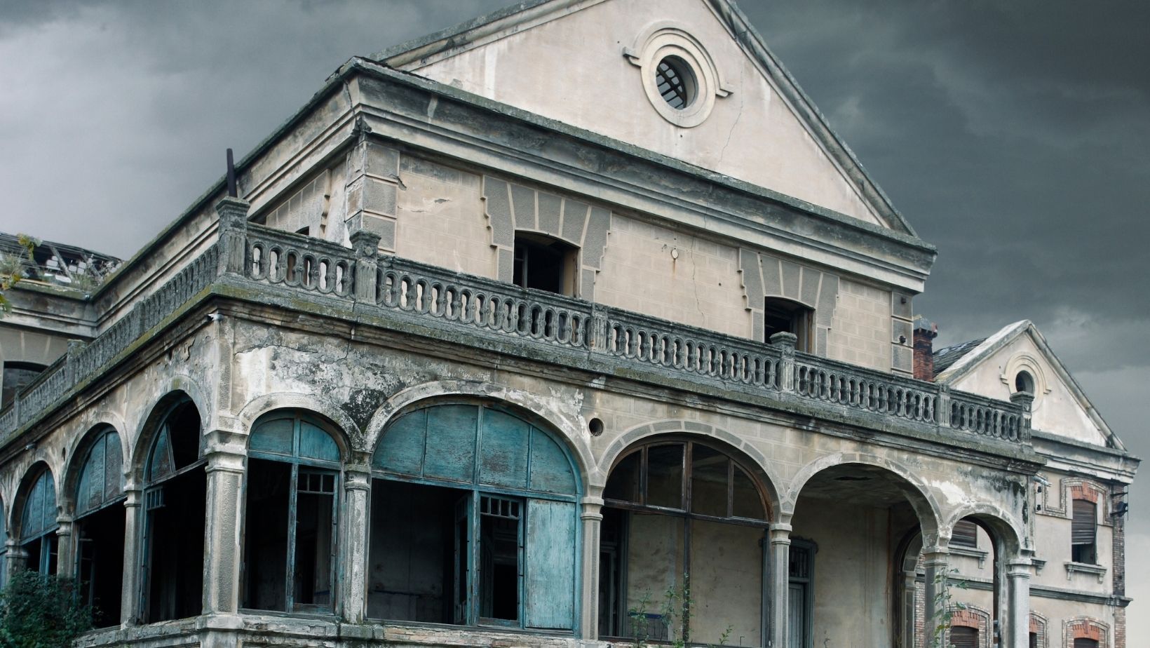 Horror-Haus: 51 Katzen gerettet – viele weitere Tiere tot