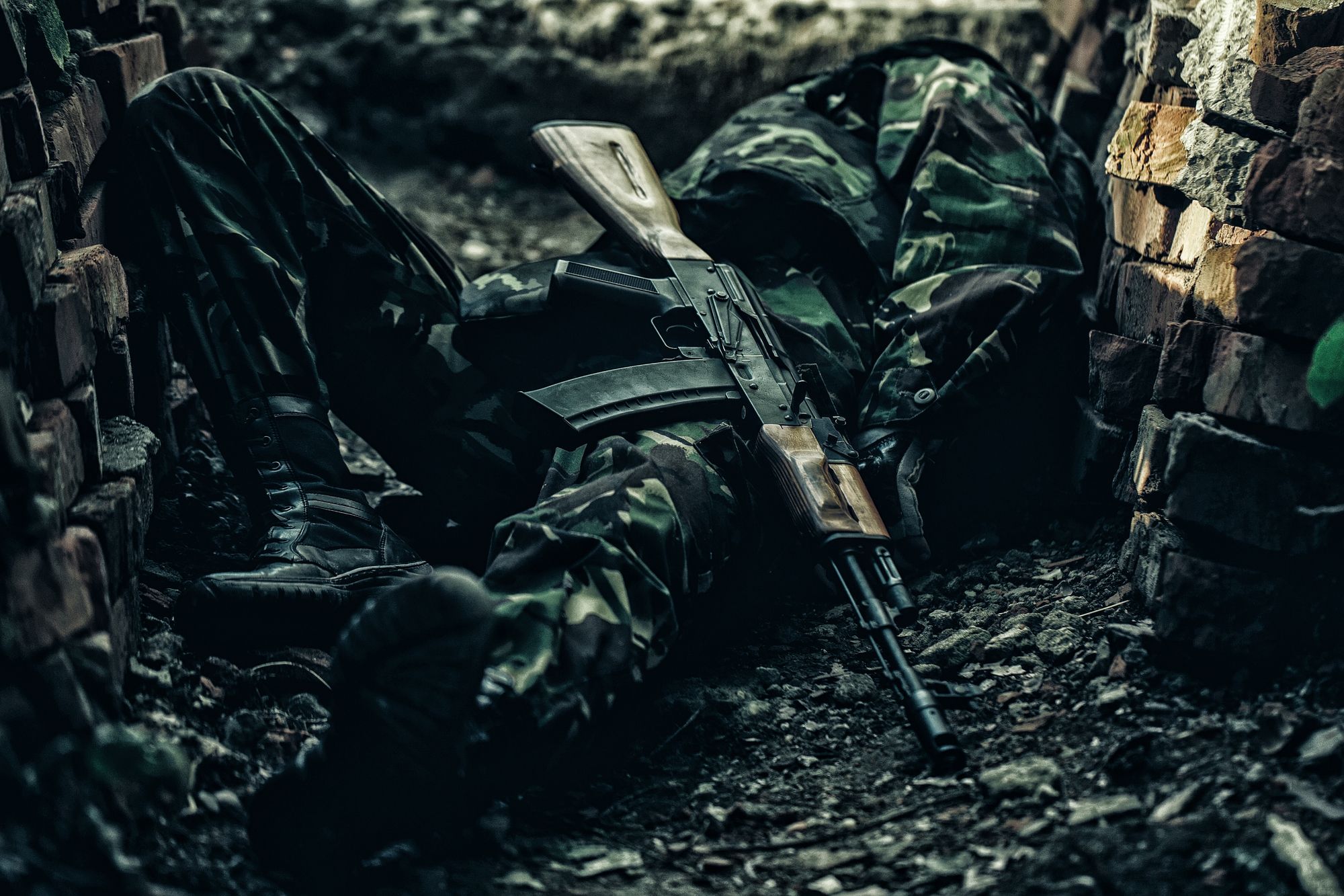 Hunde fressen die Überreste von toten russischen Soldaten an der Frontlinie