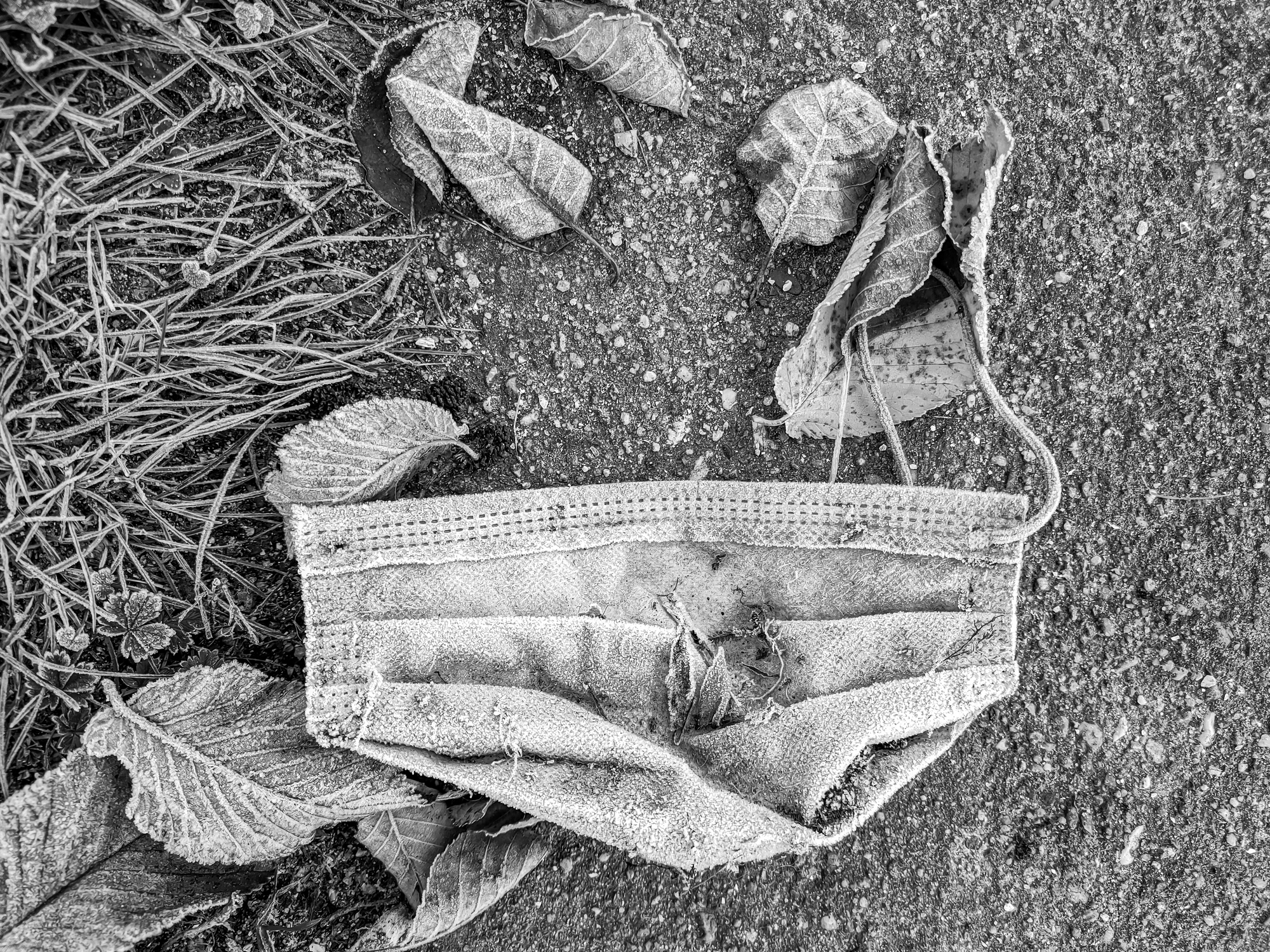 Impf-Gegner an Corona gestorben