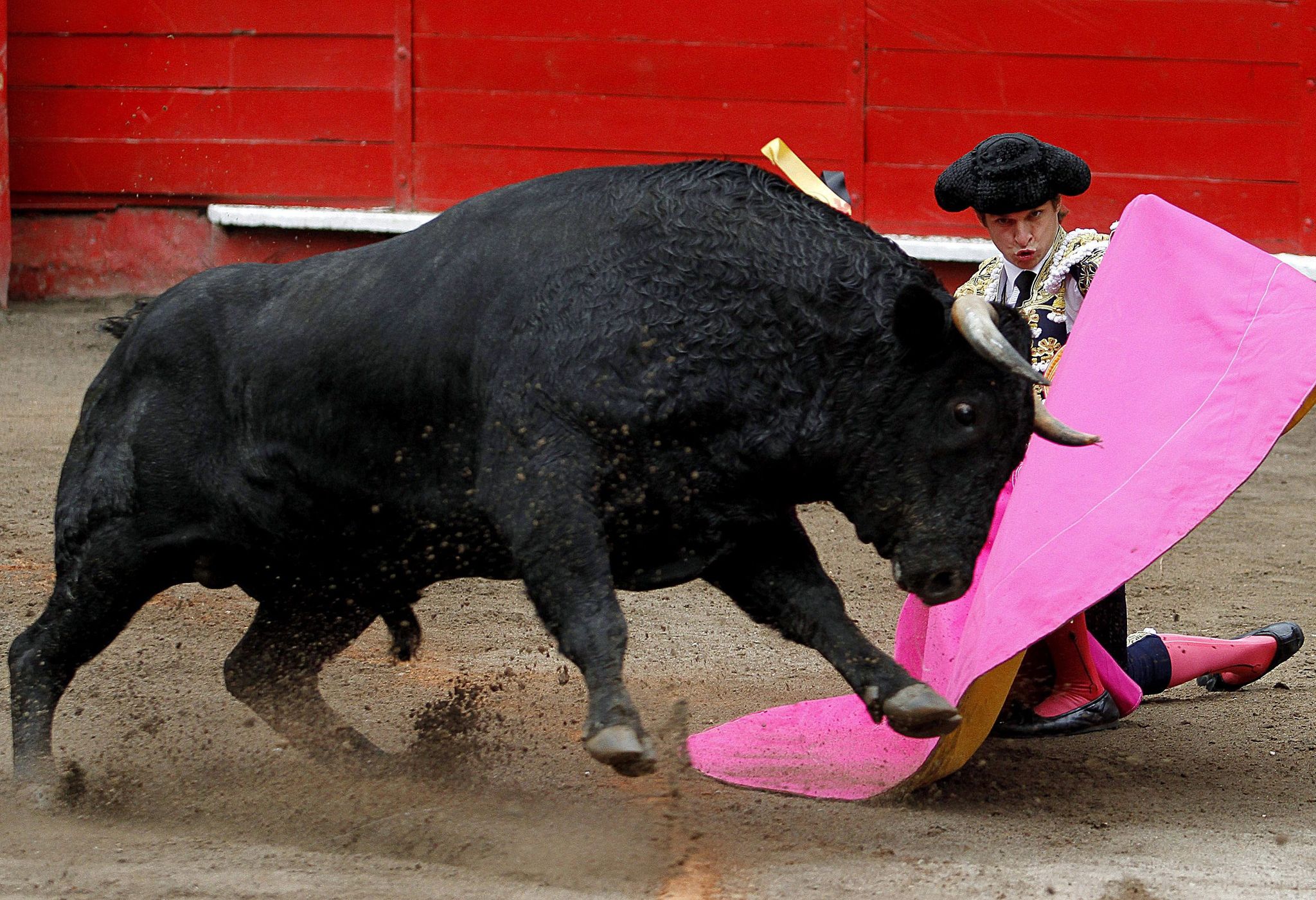 Unglück in Stierkampfarena: Tote und Verletzte