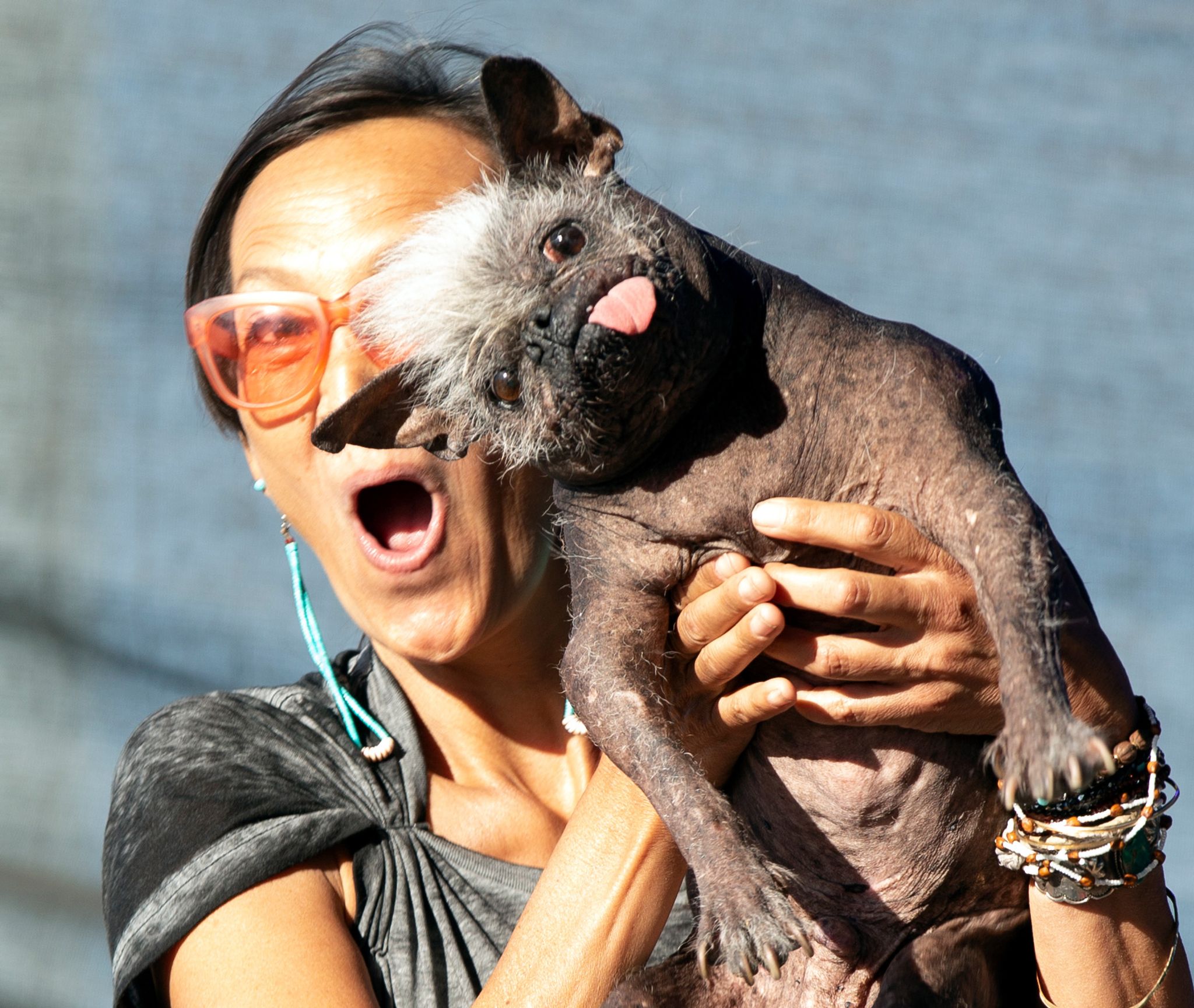 «Mr. Happy Face» zum hässlichsten Hund der Welt gekürt
