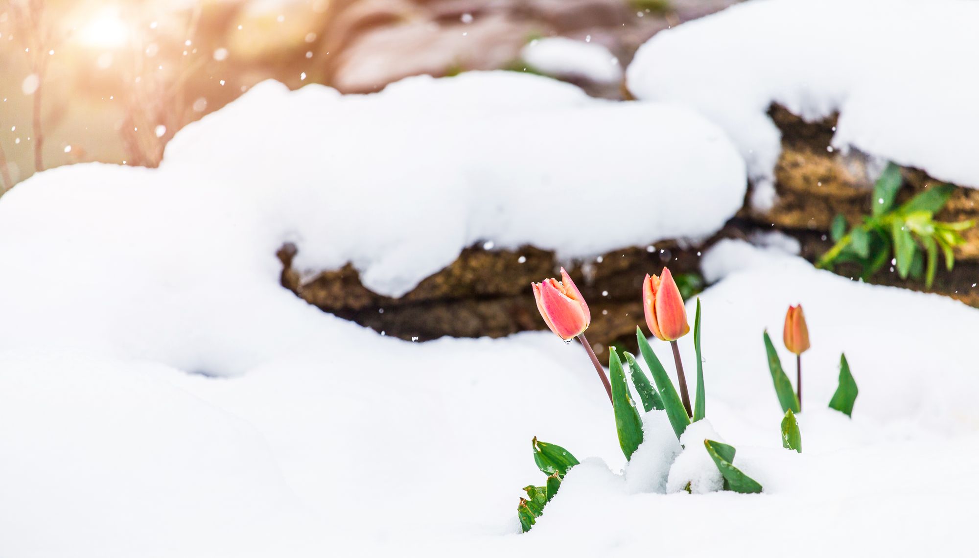 Kälte-Alarm an Ostern: Heftiger Wetterwechsel erwartet