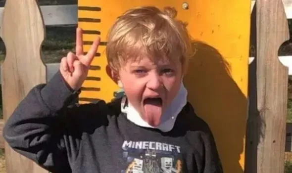 Kind (7) von Hund getötet