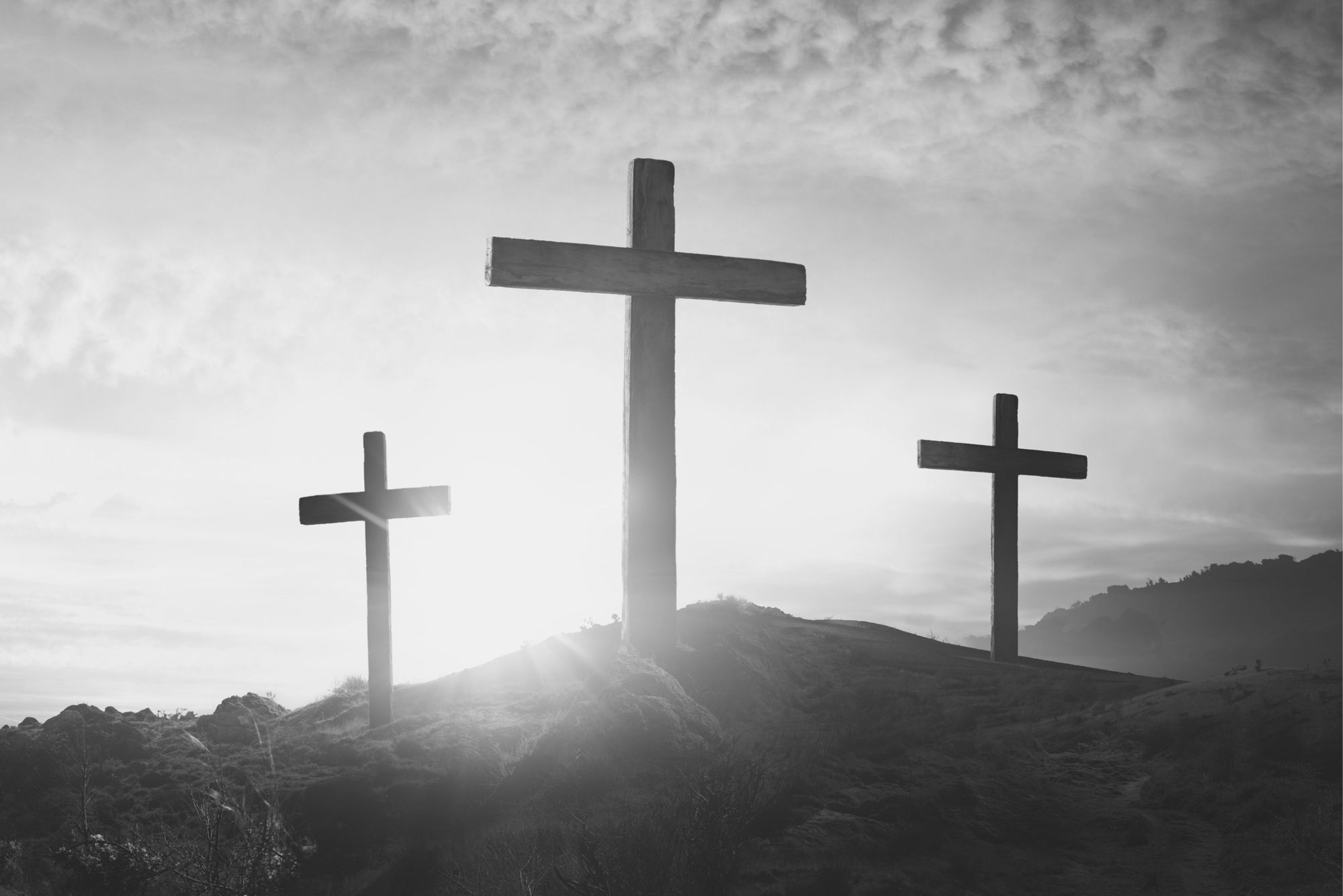 Krebs-Drama: Film-Star gestorben!