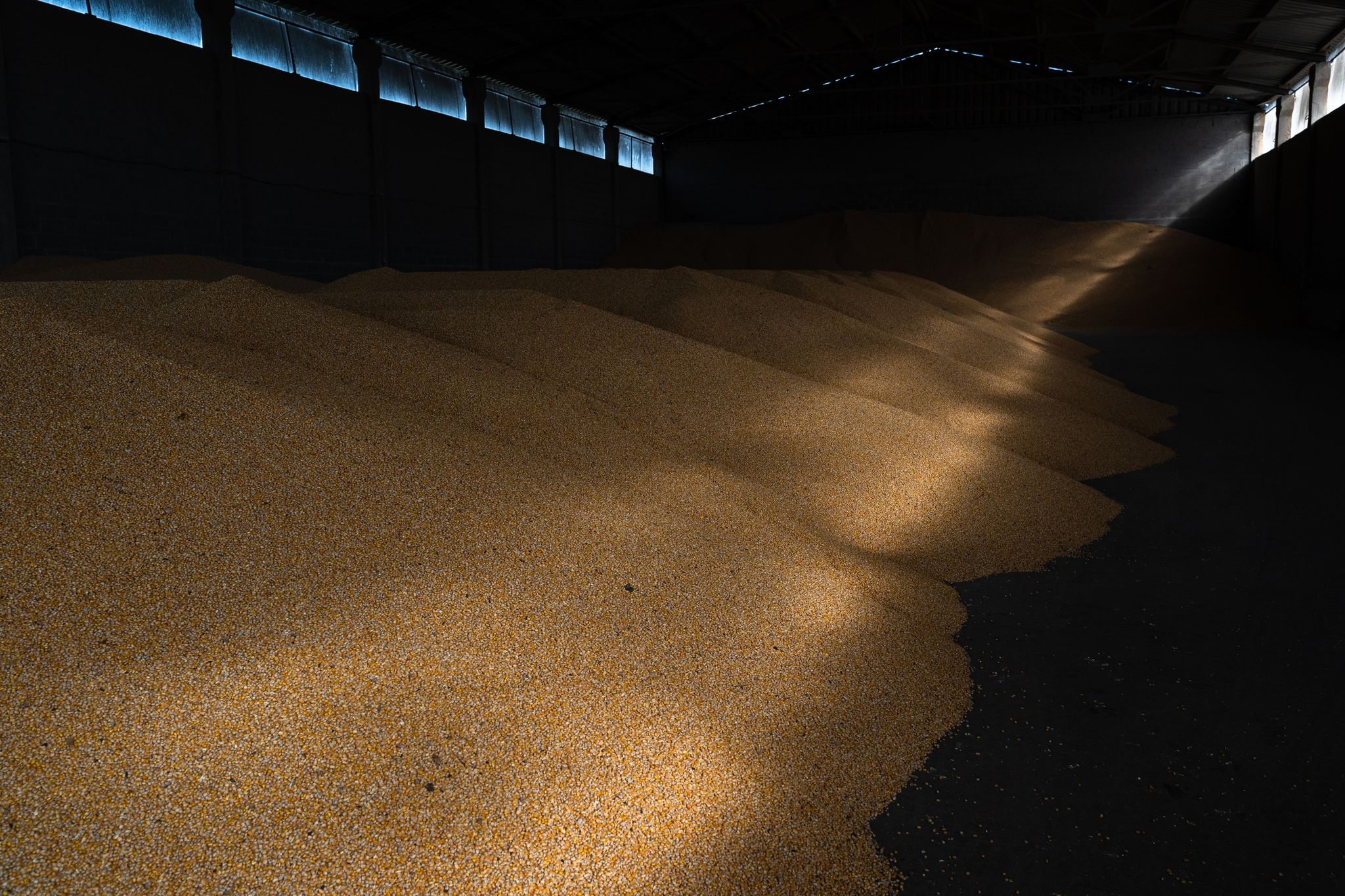 Bewegung bei Verhandlungen zu russischer Getreideblockade