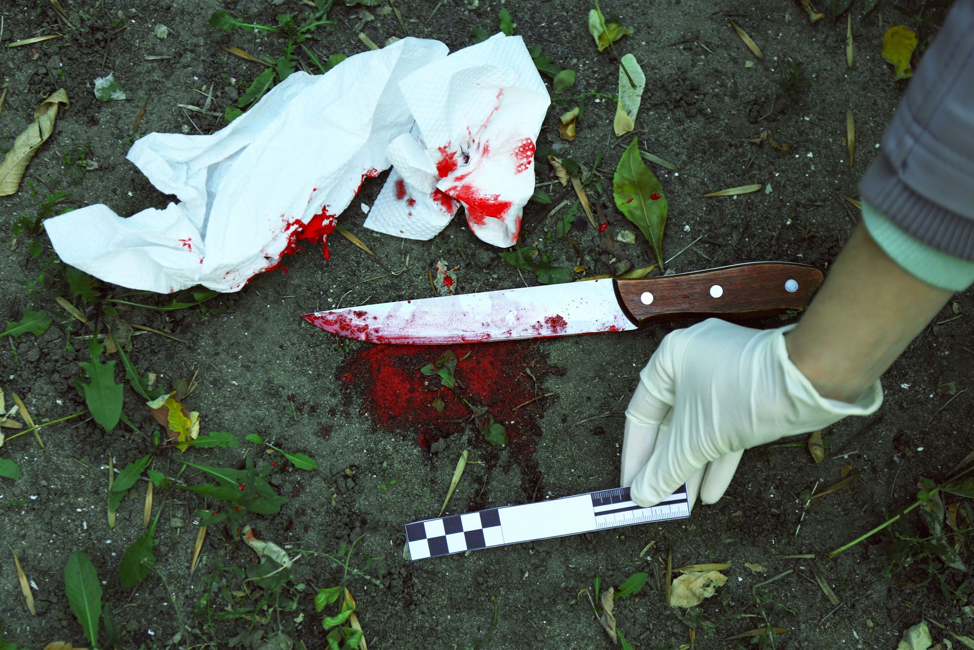 Mann tötet Politiker-Familie