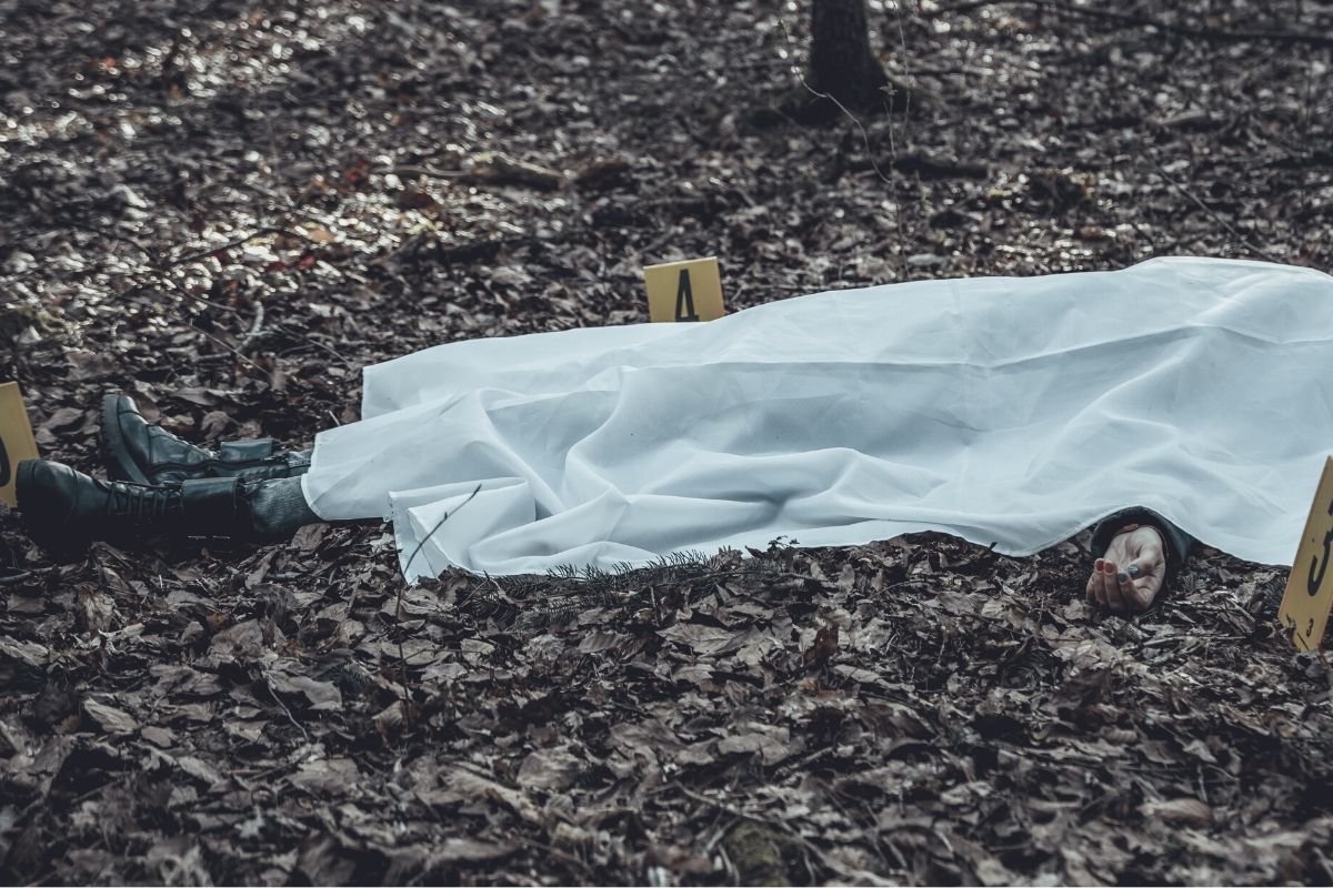 Mecklenburg-Vorpommern: Leiche in Wald gefunden