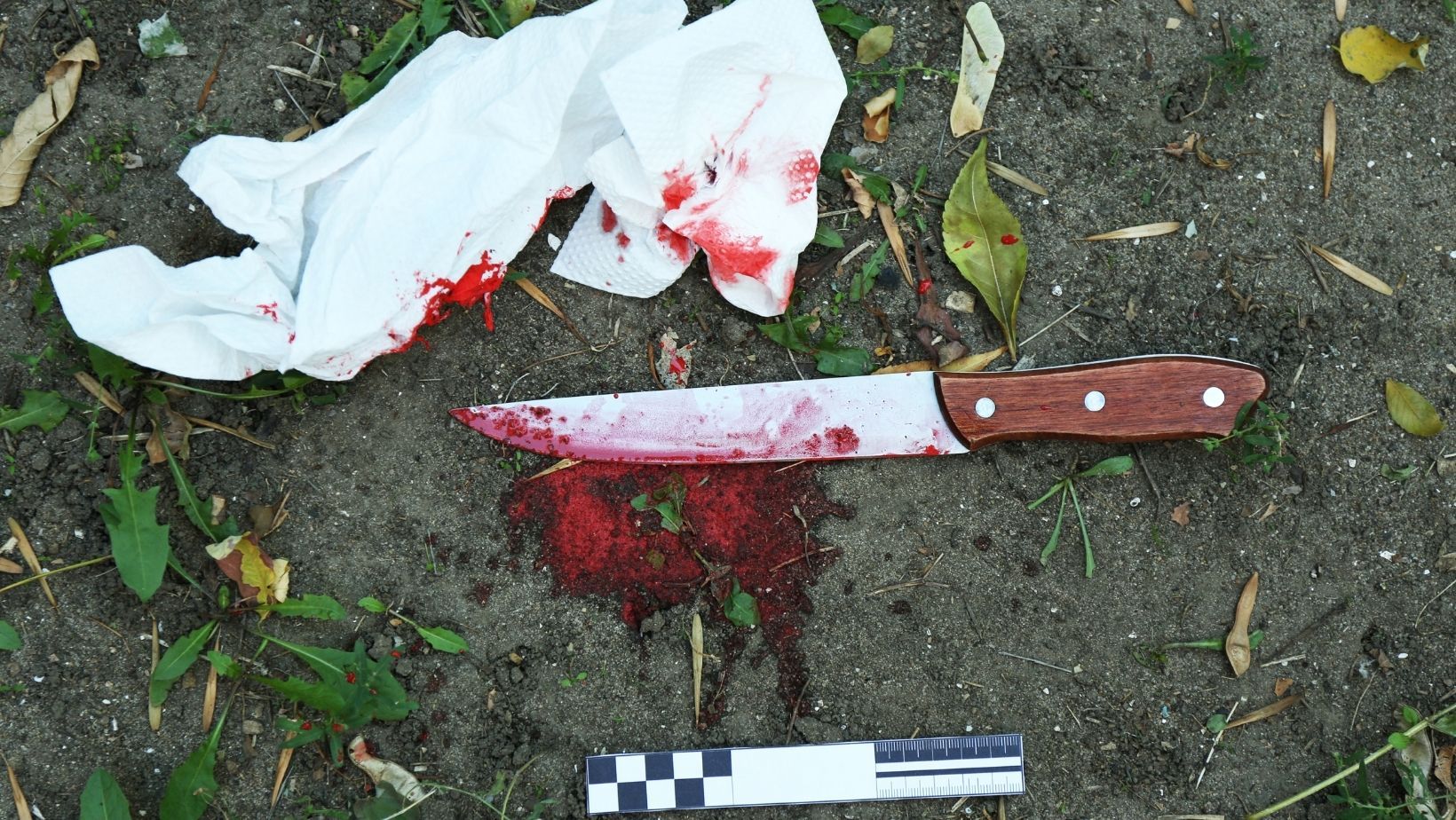 Messerattacke in Kindergarten: 2 Kinder tot – 16 verletzt