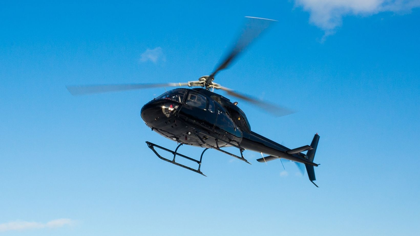 Niedersachsen: Greifvogel kollidiert mit Hubschrauber – Notlandung