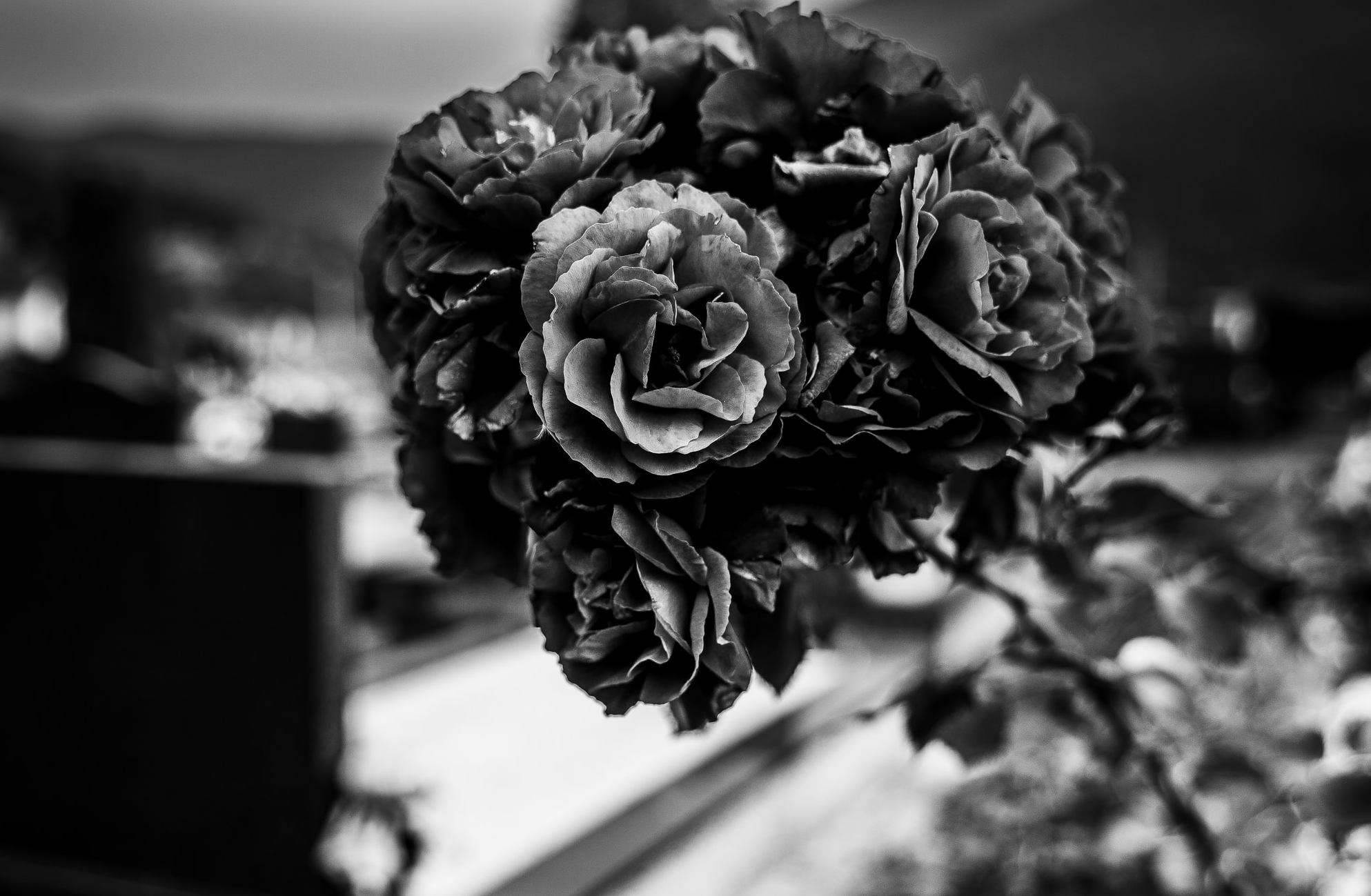 Politiker plötzlich tot – nach schwerer Krankheit