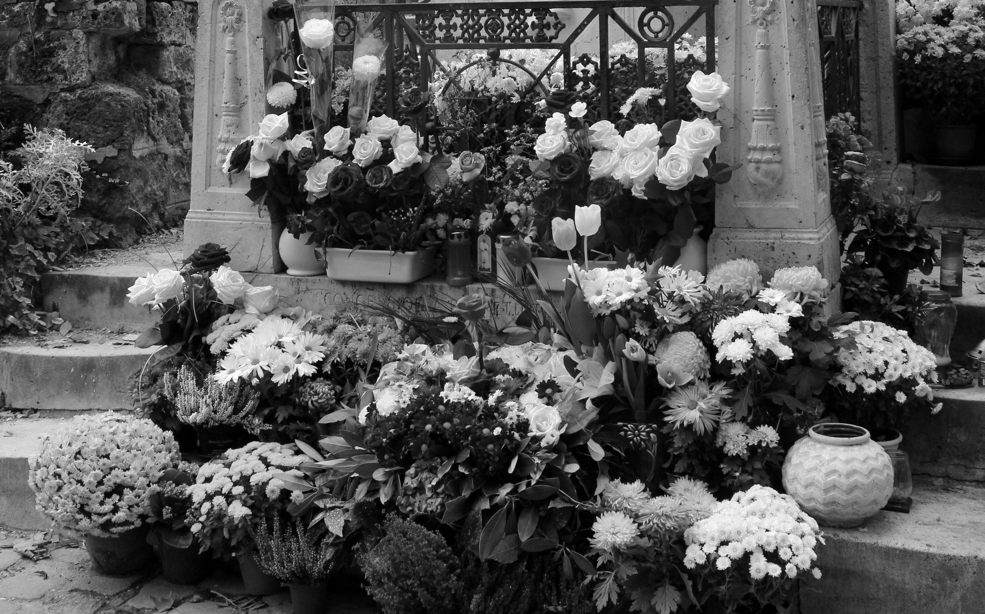 Politiker stirbt an Krebs