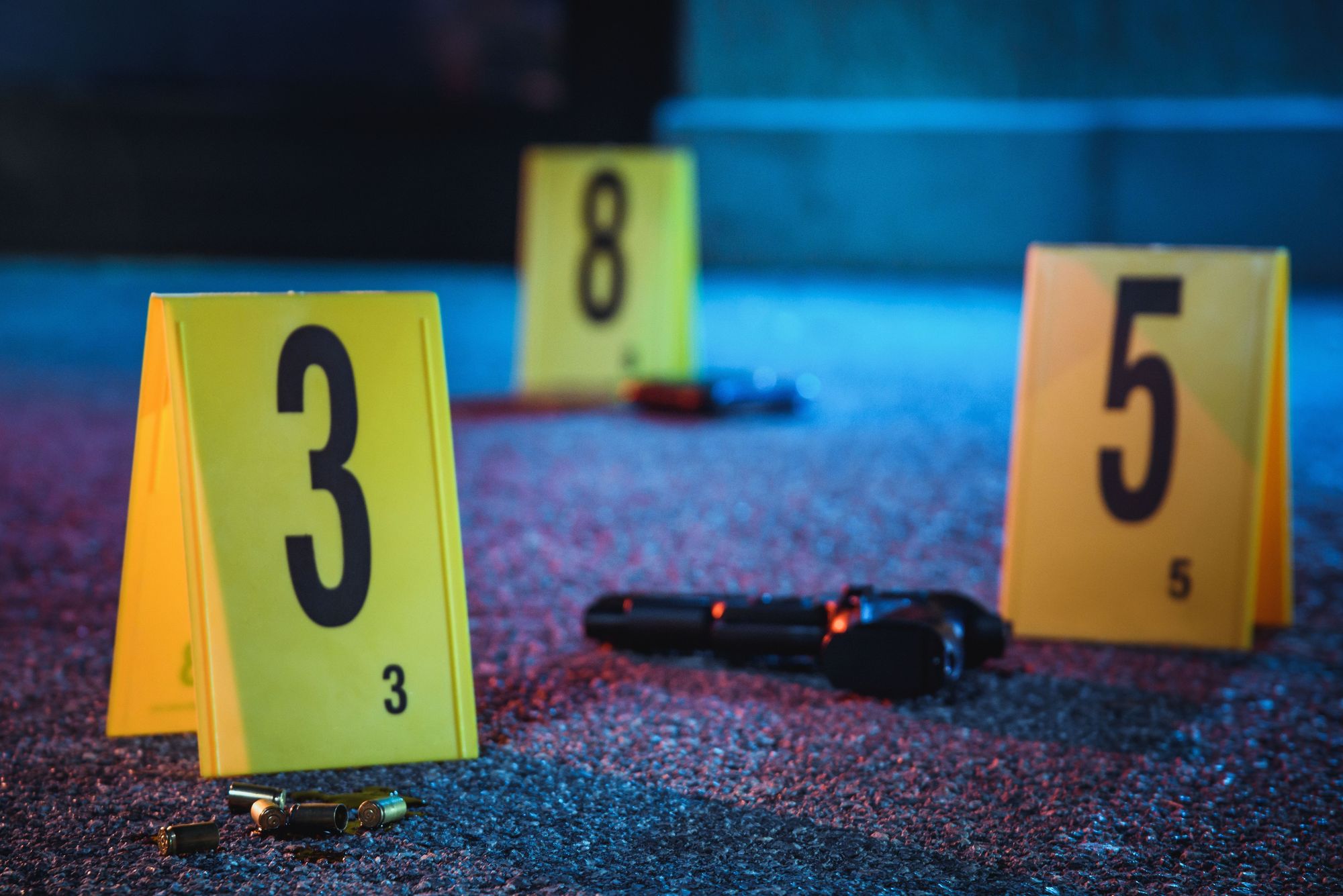 Pop-Star erschossen aufgefunden