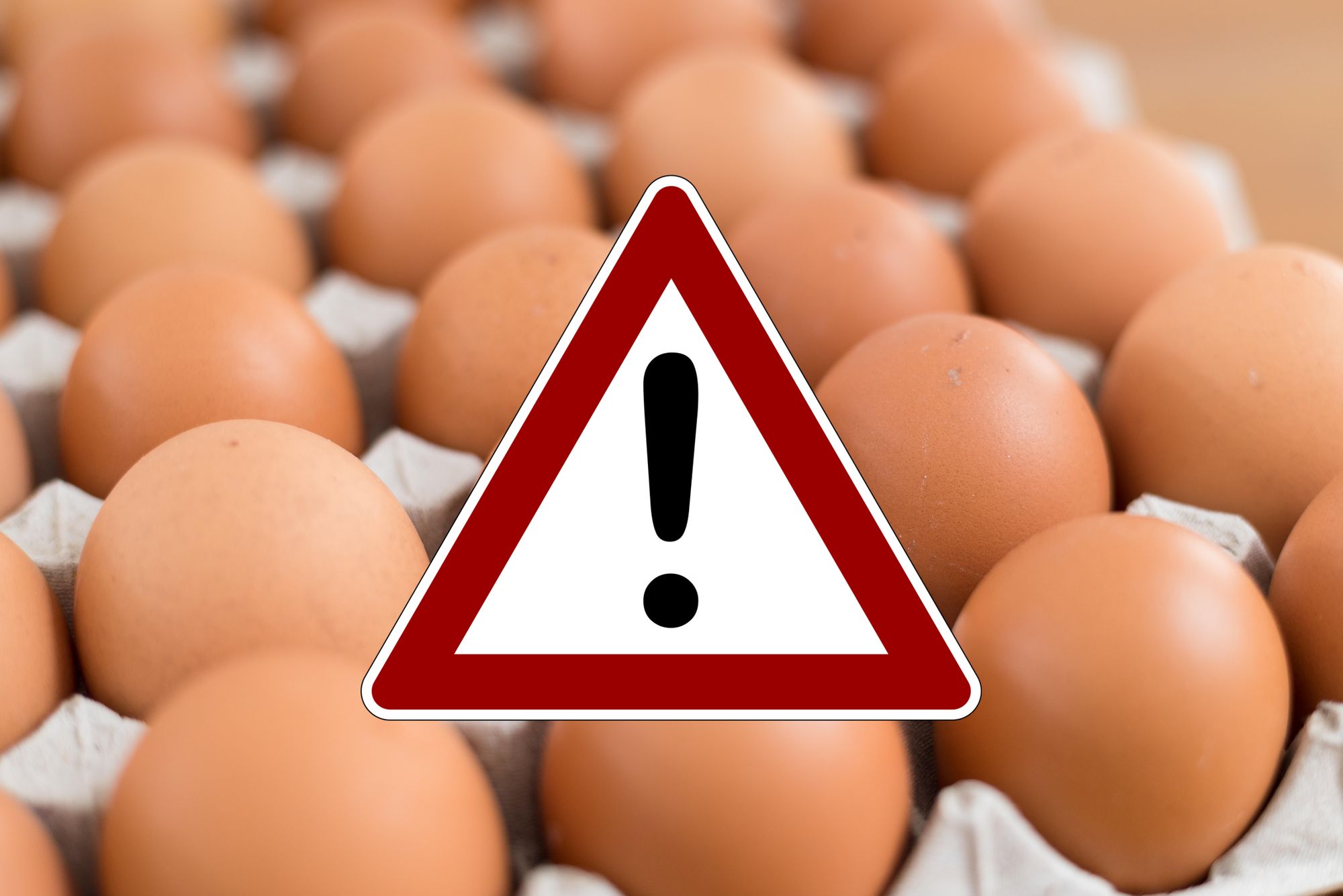 Produkt-Warnung: Großer Eier-Rückruf!