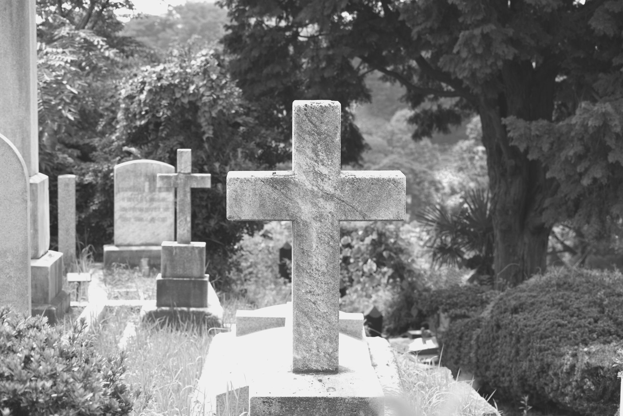 Schauspieler stirbt nach Herzinfarkt