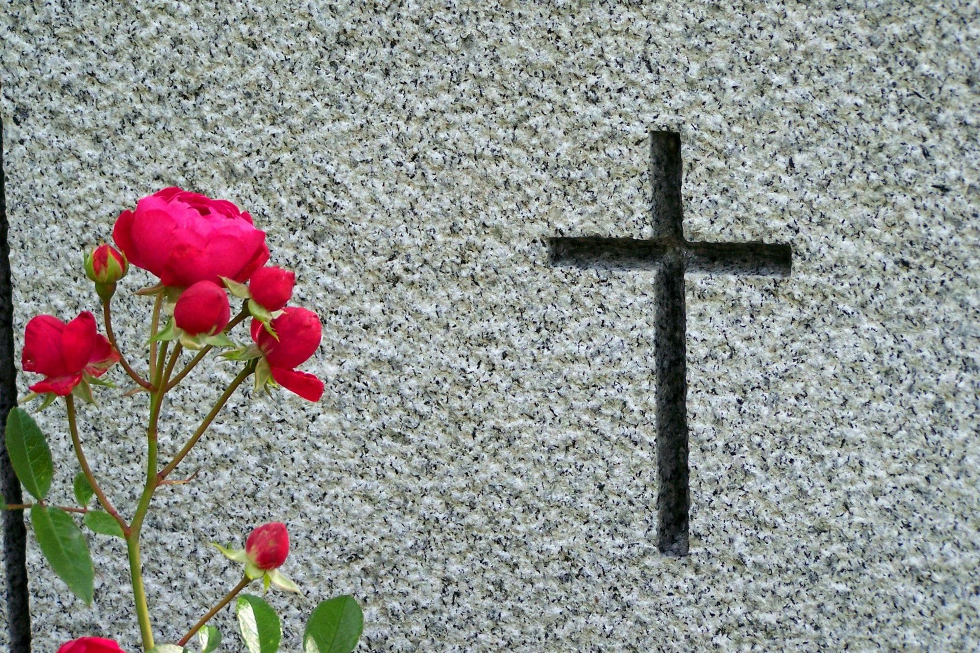 Schauspielerin an Krebs gestorben