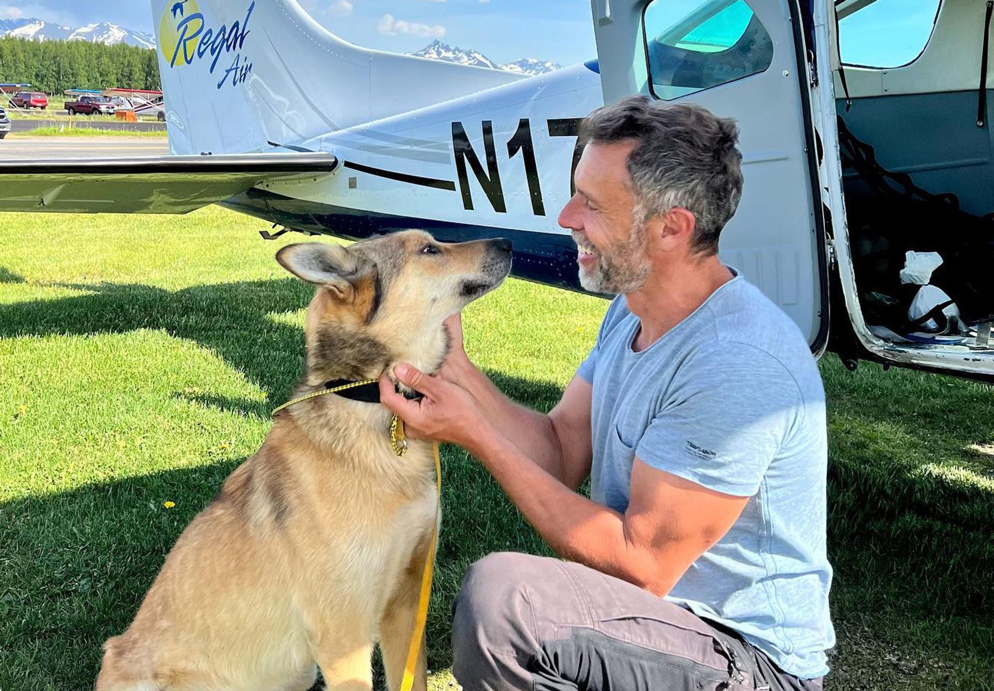 Iditarod-Schlittenhund nach drei Monaten gefunden