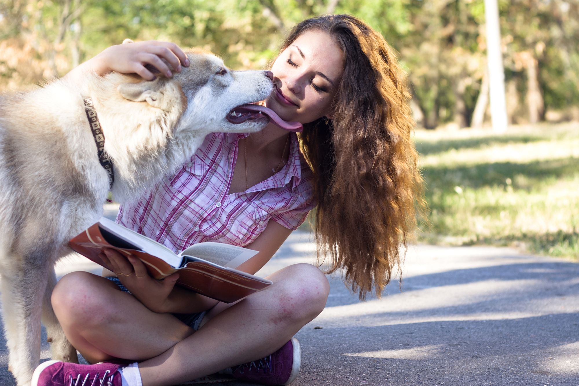 Sexuelle Belästigung in Neubrandenburg – Zeuginnen gesucht