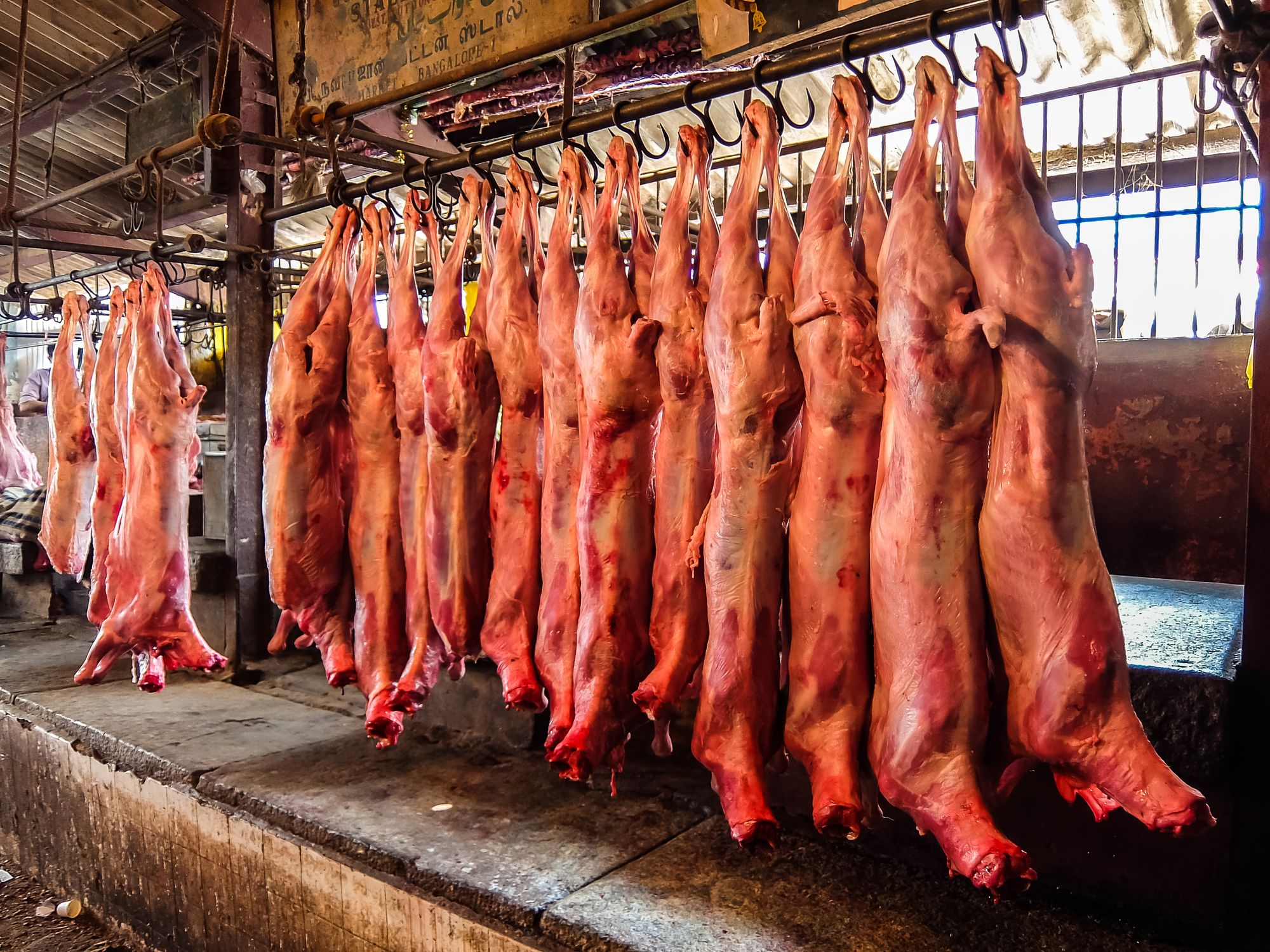 Skandalwerk Tönnies: Stiftung Warentest stattet Besuch ab