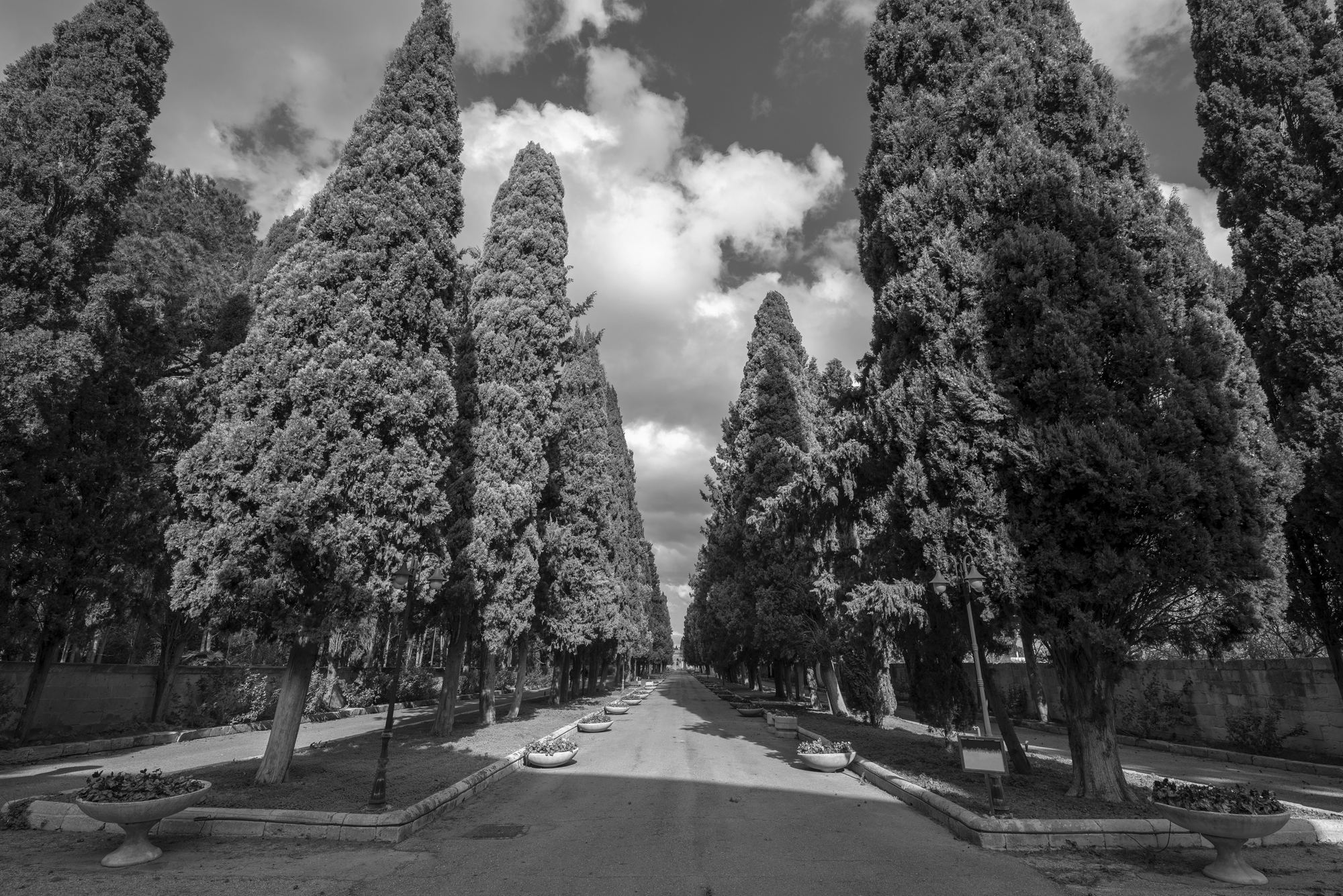 Sport-Legende stirbt nach kurzer Krankheit