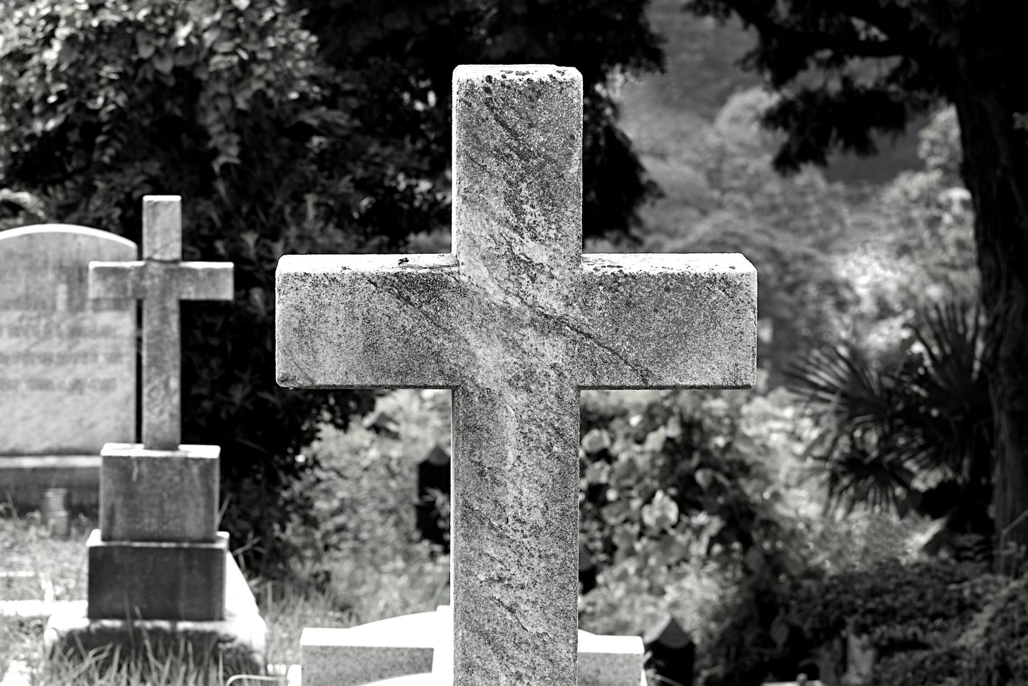 TV-Moderatorin plötzlich tot