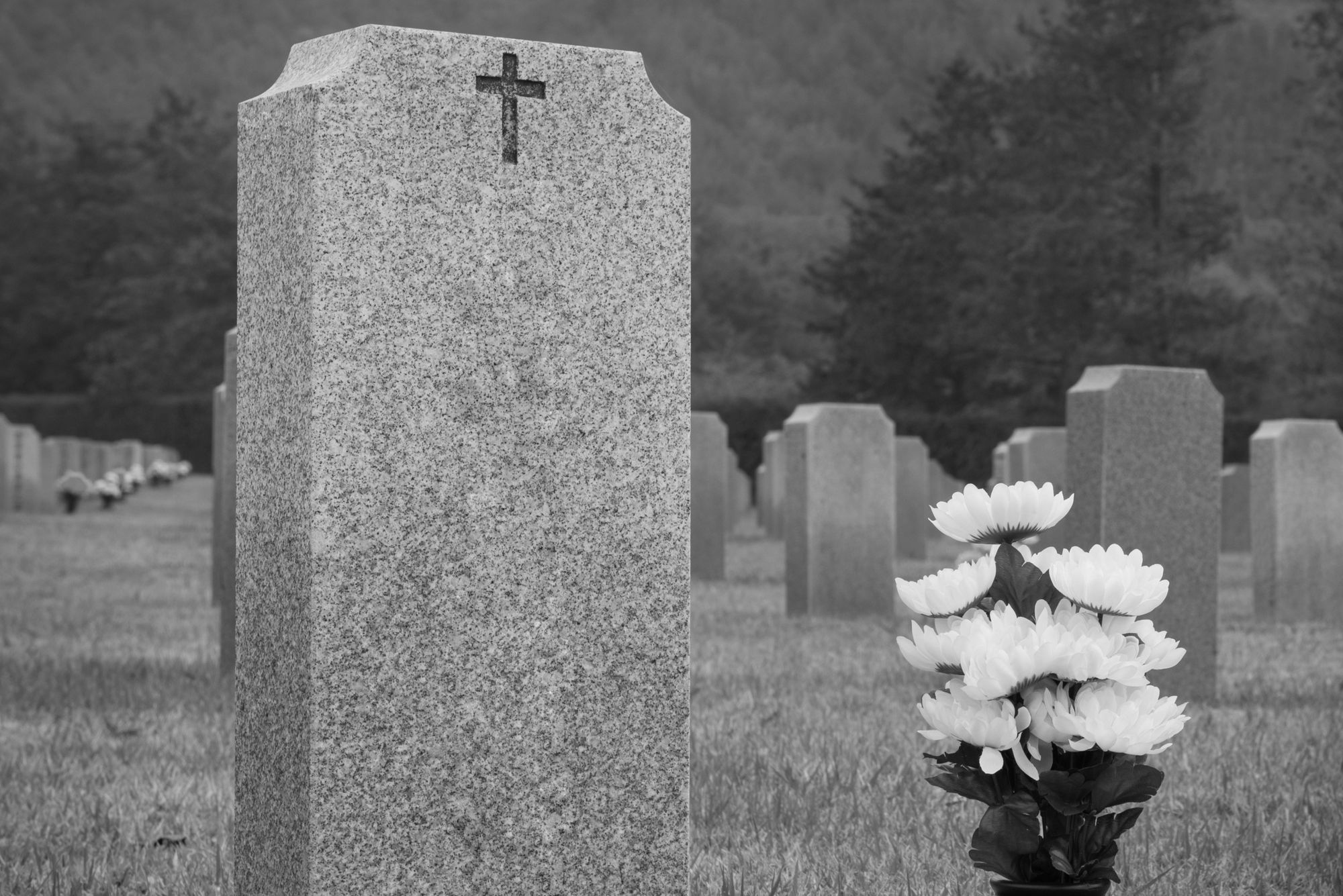 TV & Serien-Star gestorben