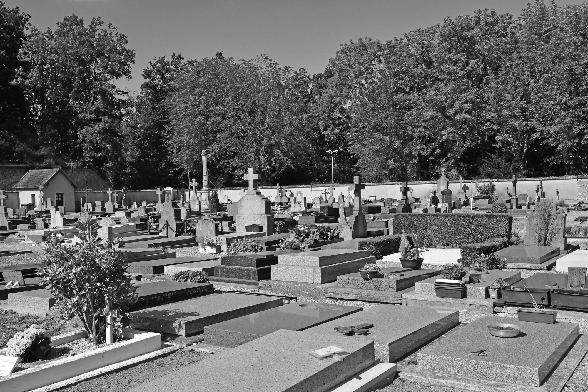 TV-Star stirbt an Corona