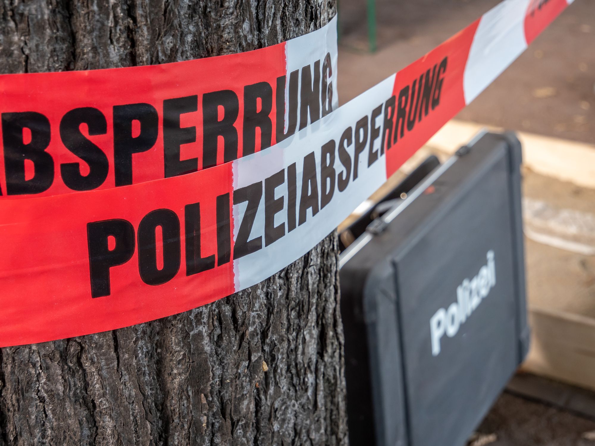 TV-Star tot in Park gefunden